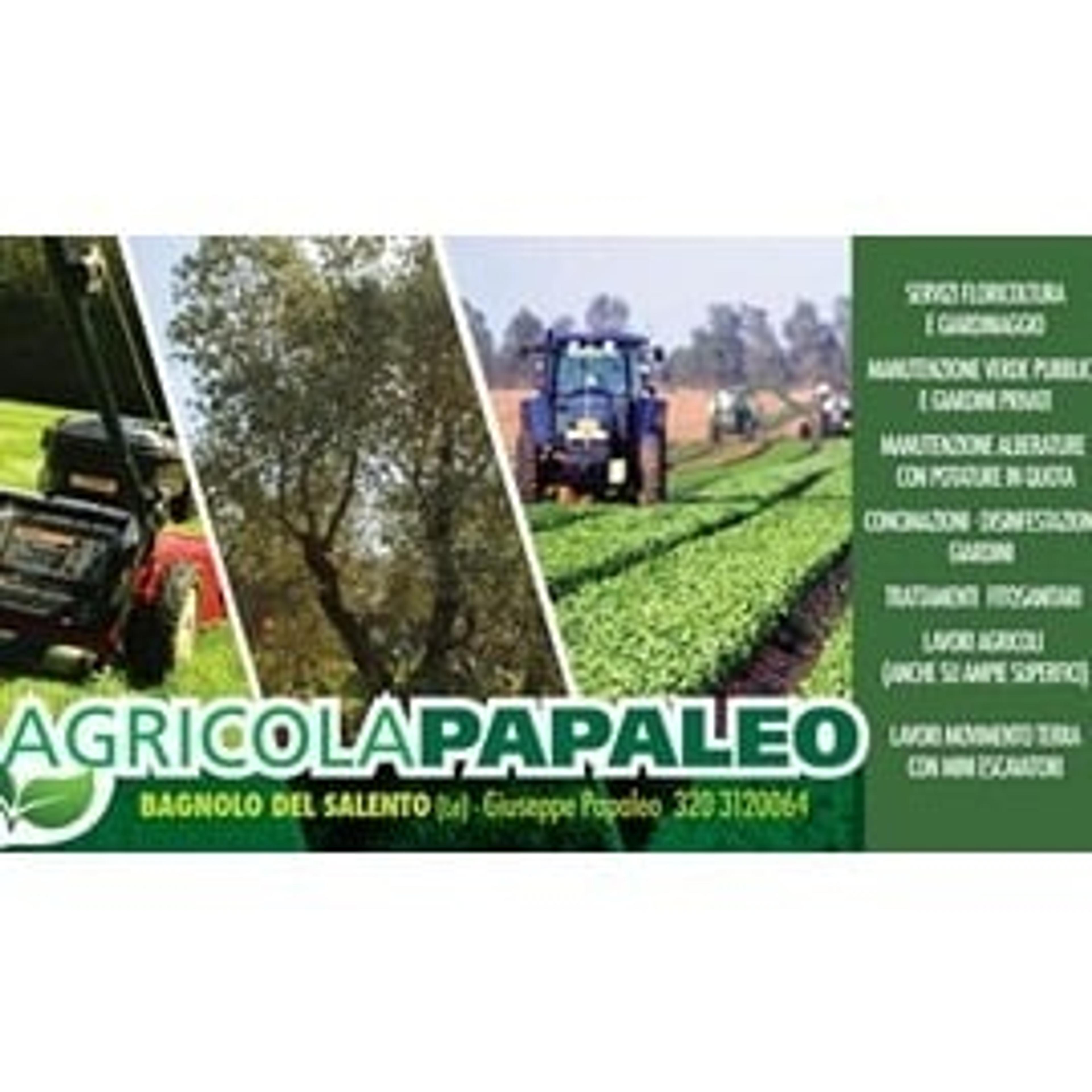 Agricola Papaleo