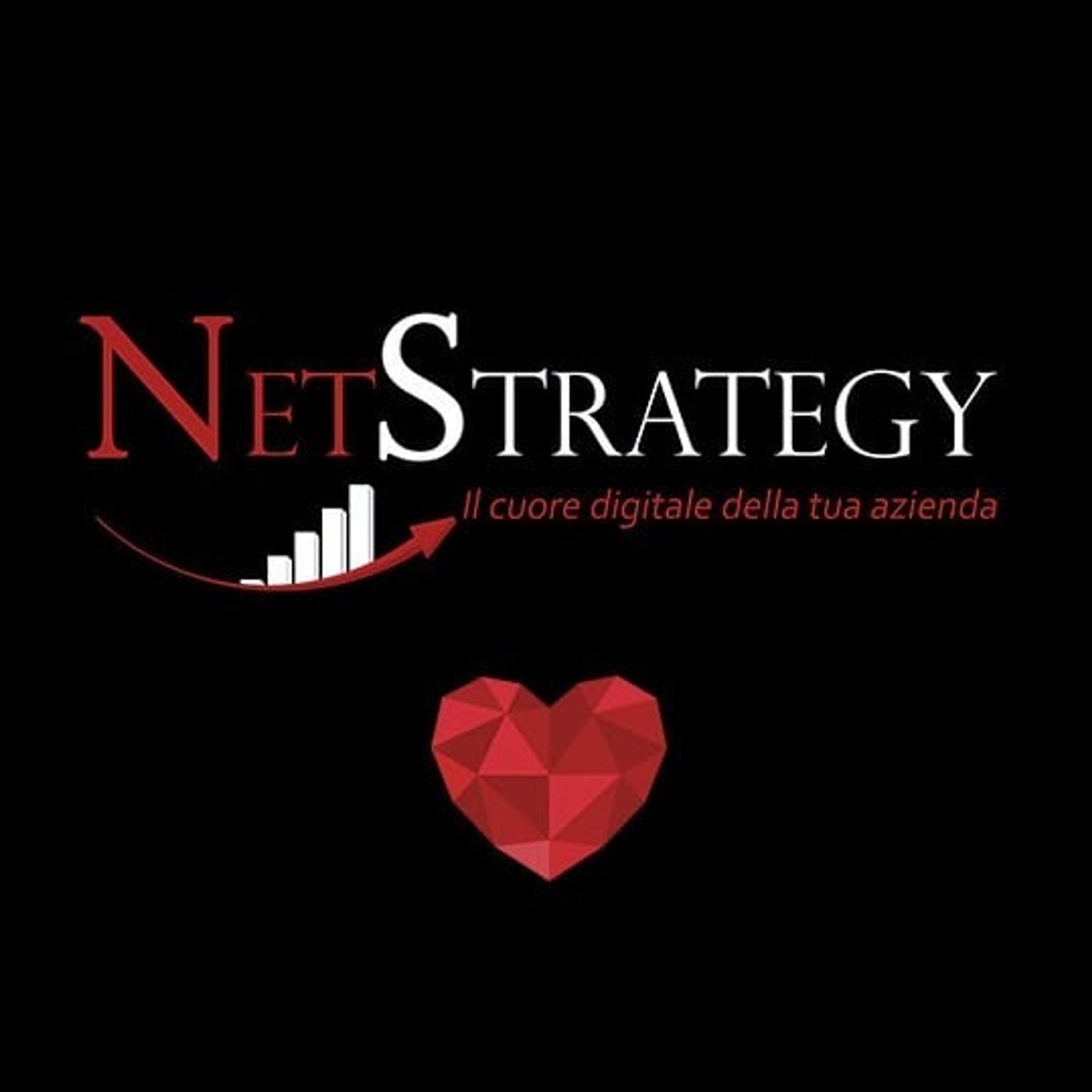 NetStrategy® (Forbit srl)