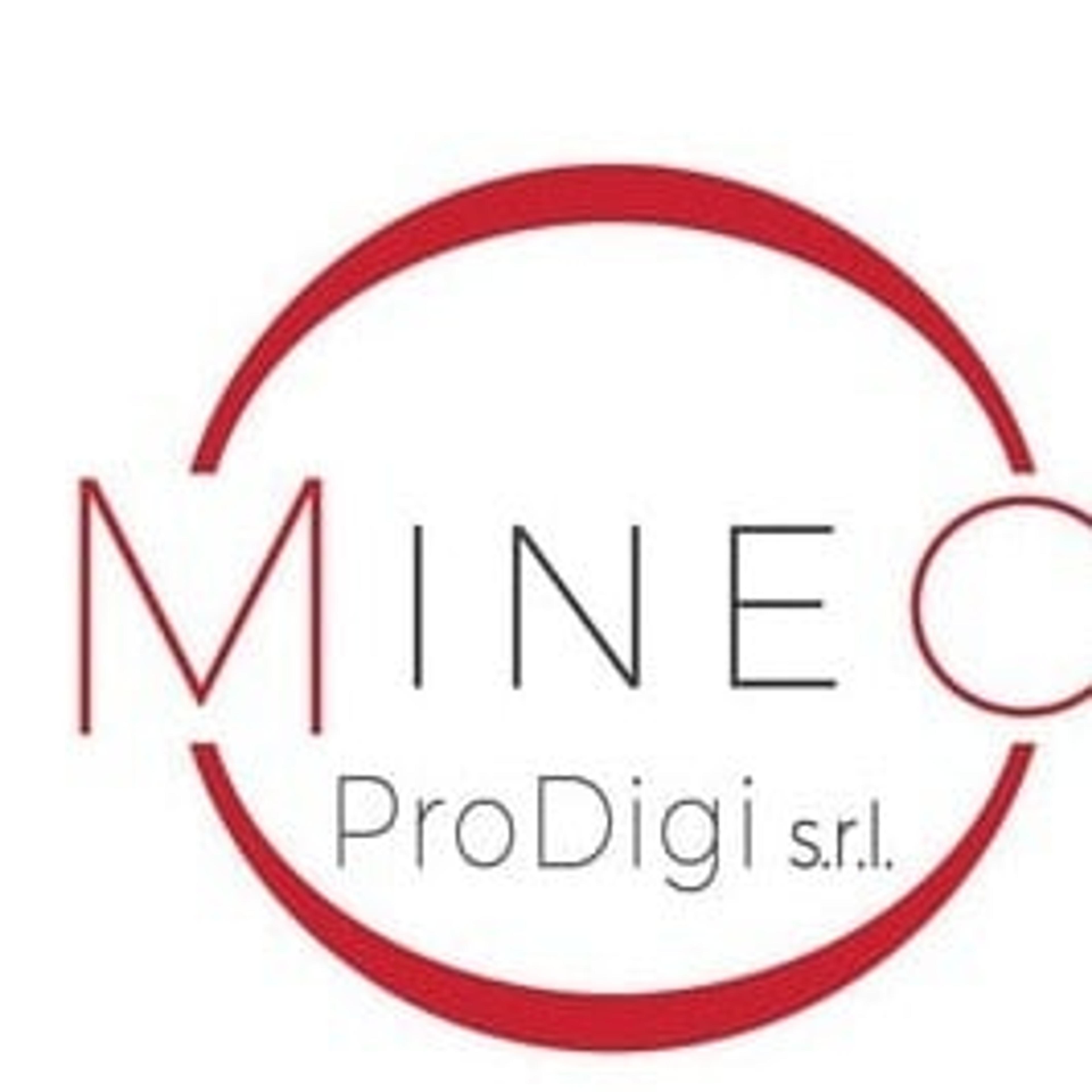 Mineo ProDigi srl