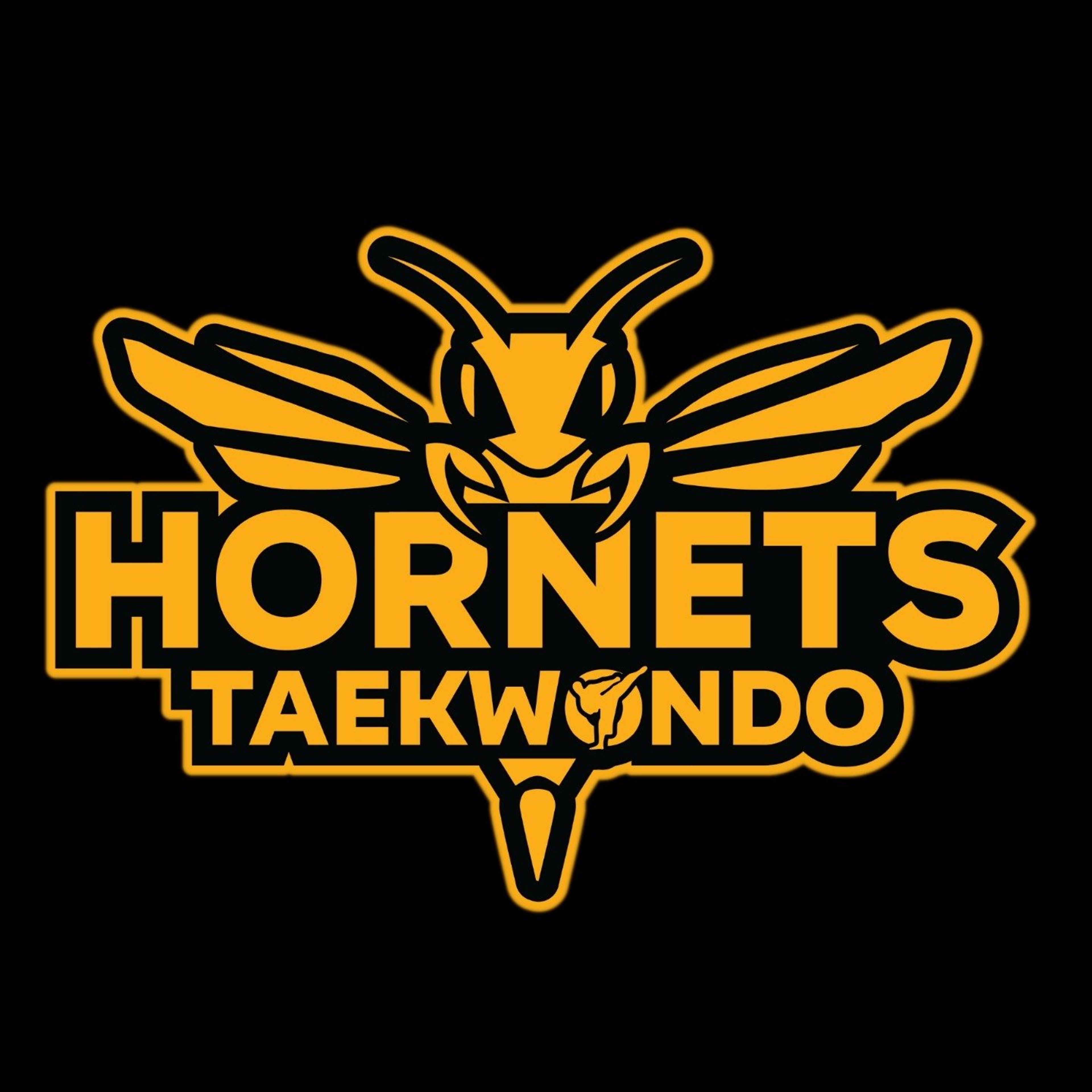 Associazione Sportiva Dilettantistica Hornets Taekwondo
