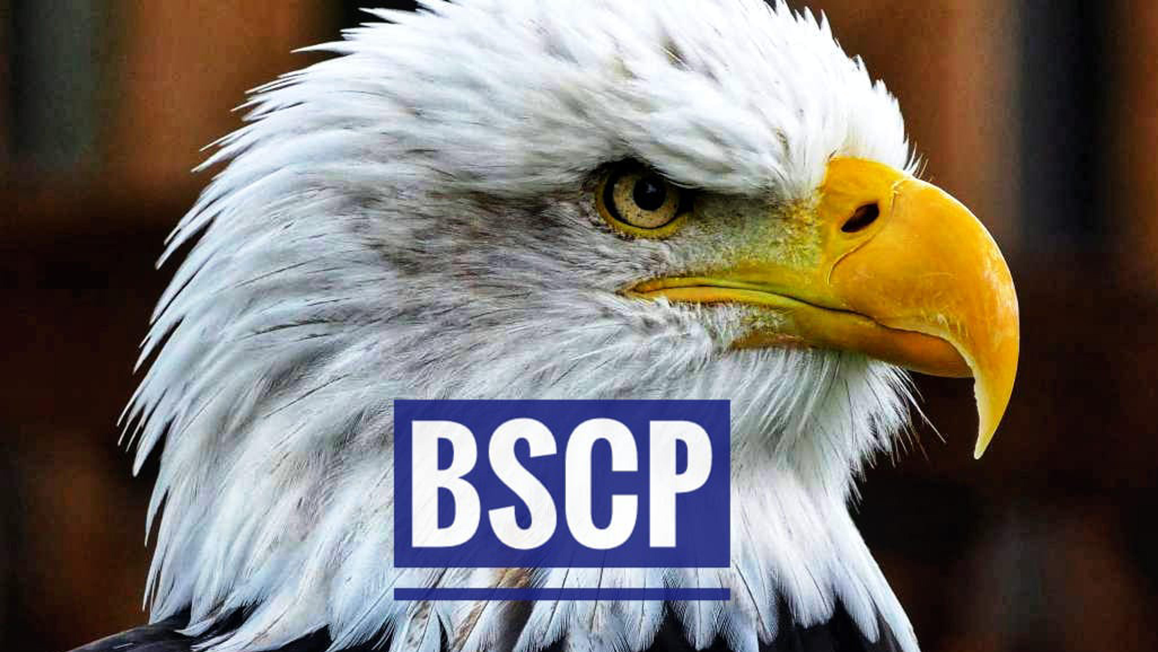 BSCP BARCELONA SEGURIDAD Y CONTROL DE PLAGAS
