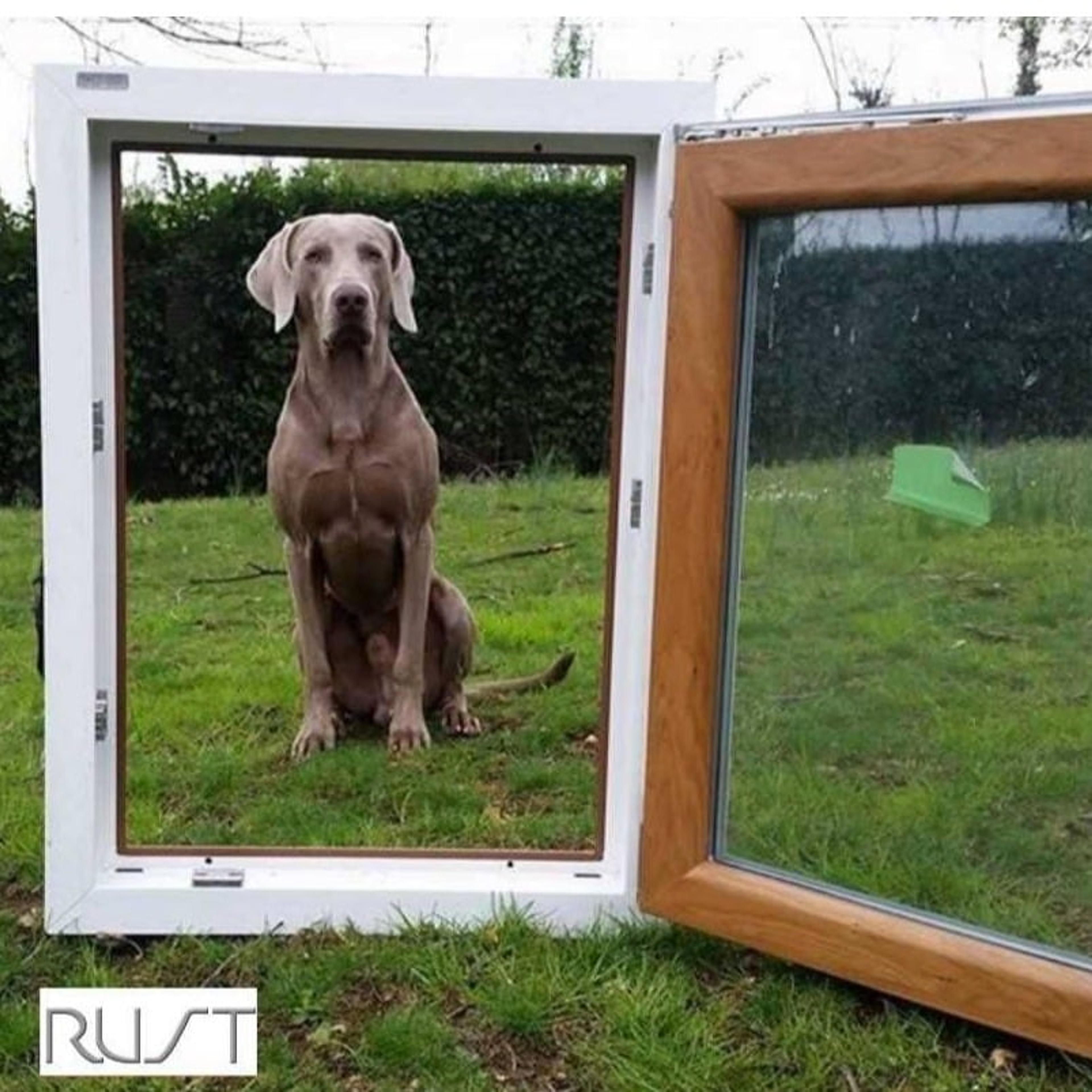 RUST di Ruzzon Stefanino