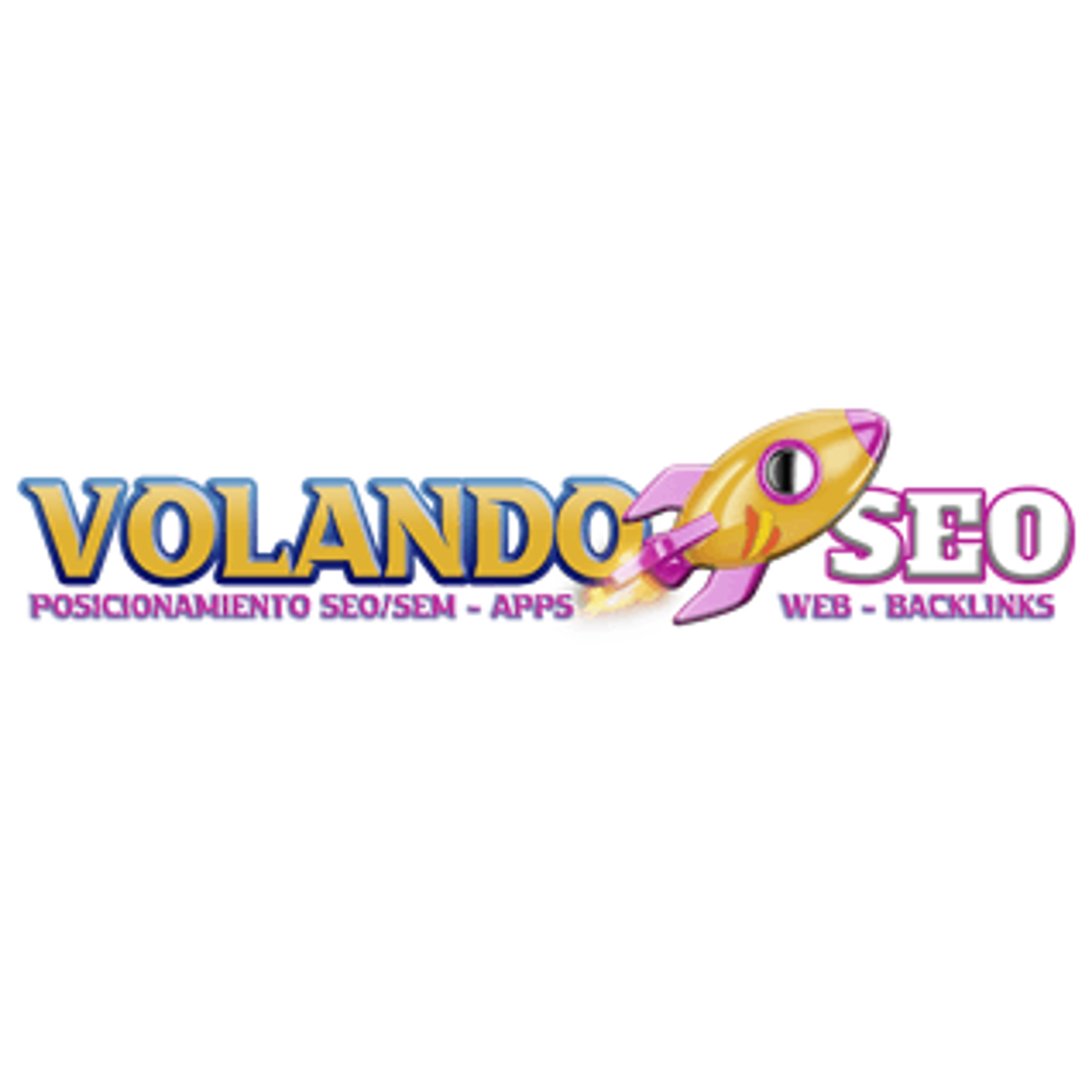 Volando Seo Agencia de Marketing Web Seo Apps