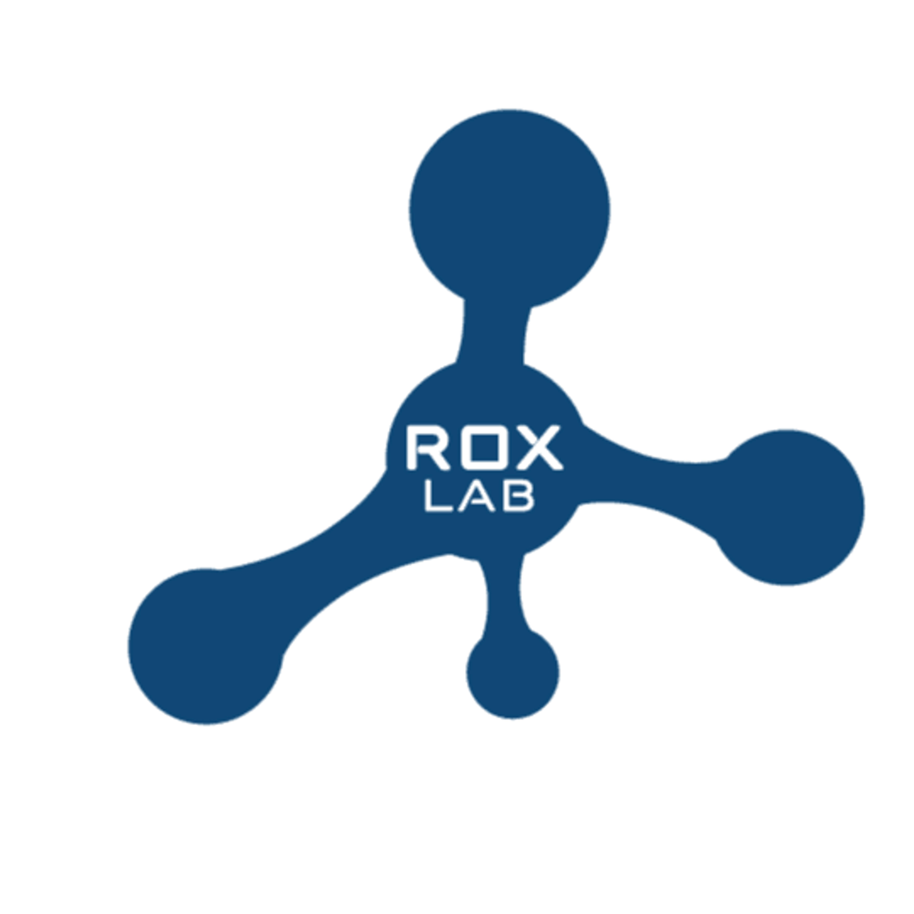 Rox Lab Srl