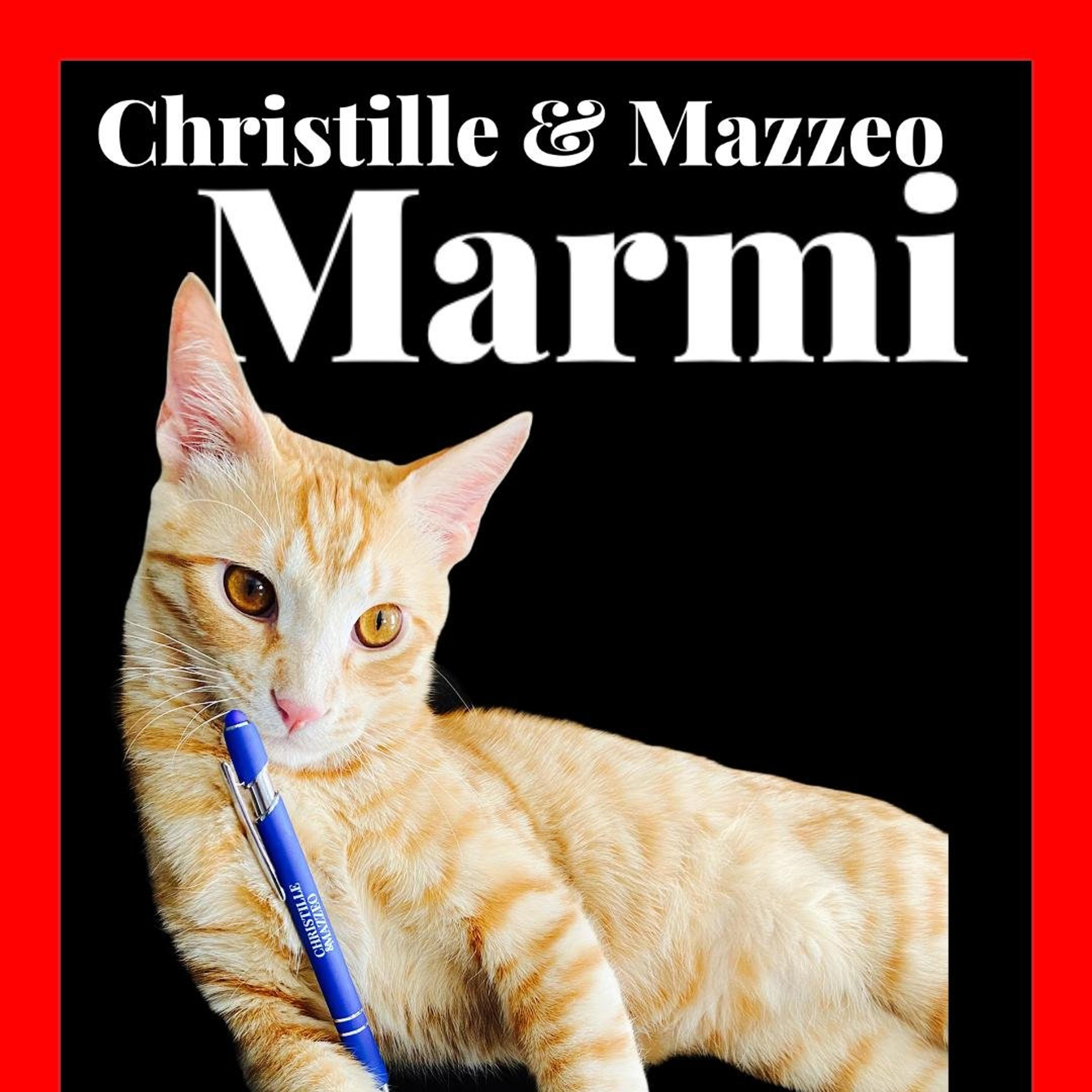 Christille & Mazzeo di Christille L. e c.