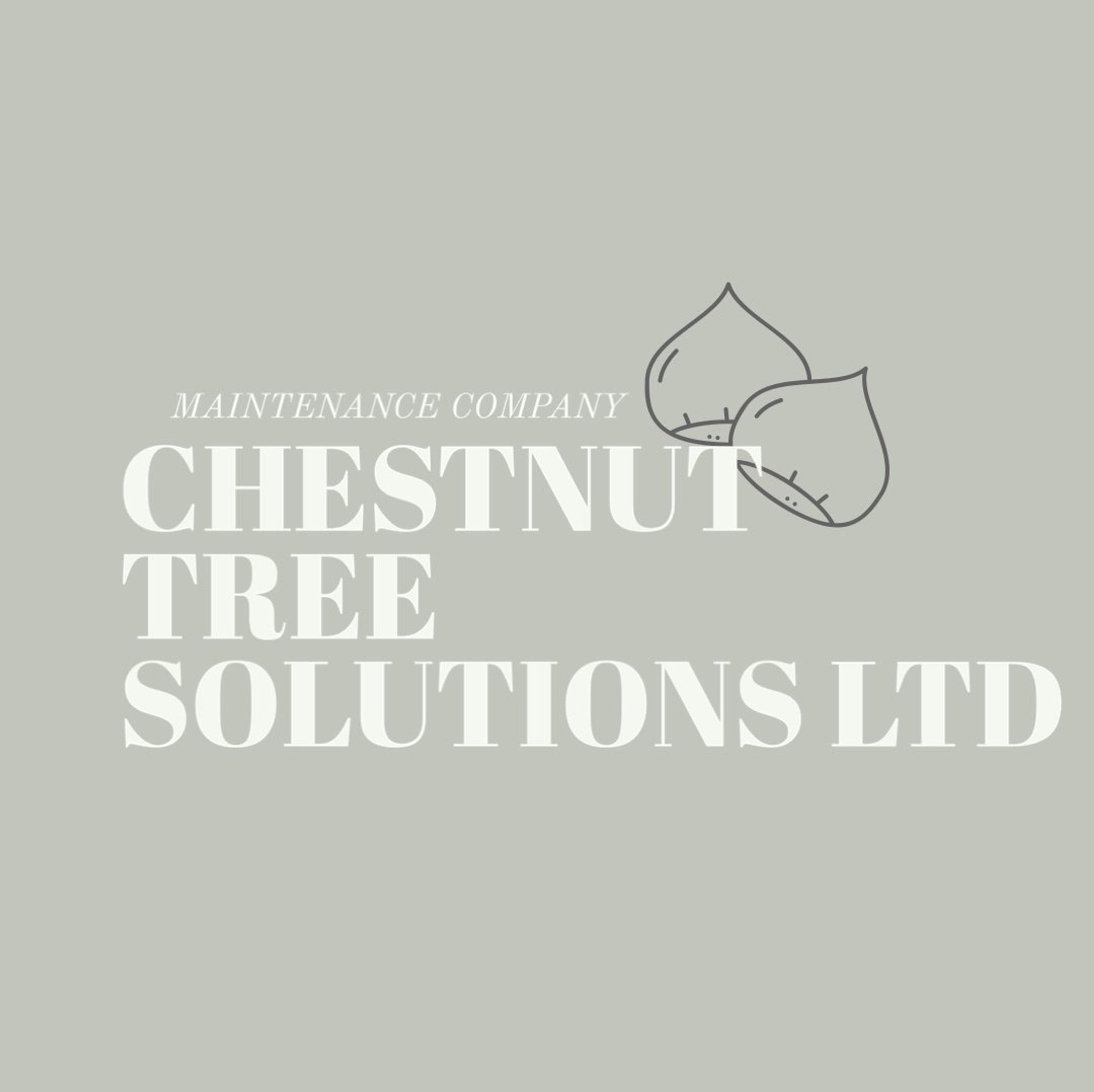 Chestnut Tree Solutions Ltd