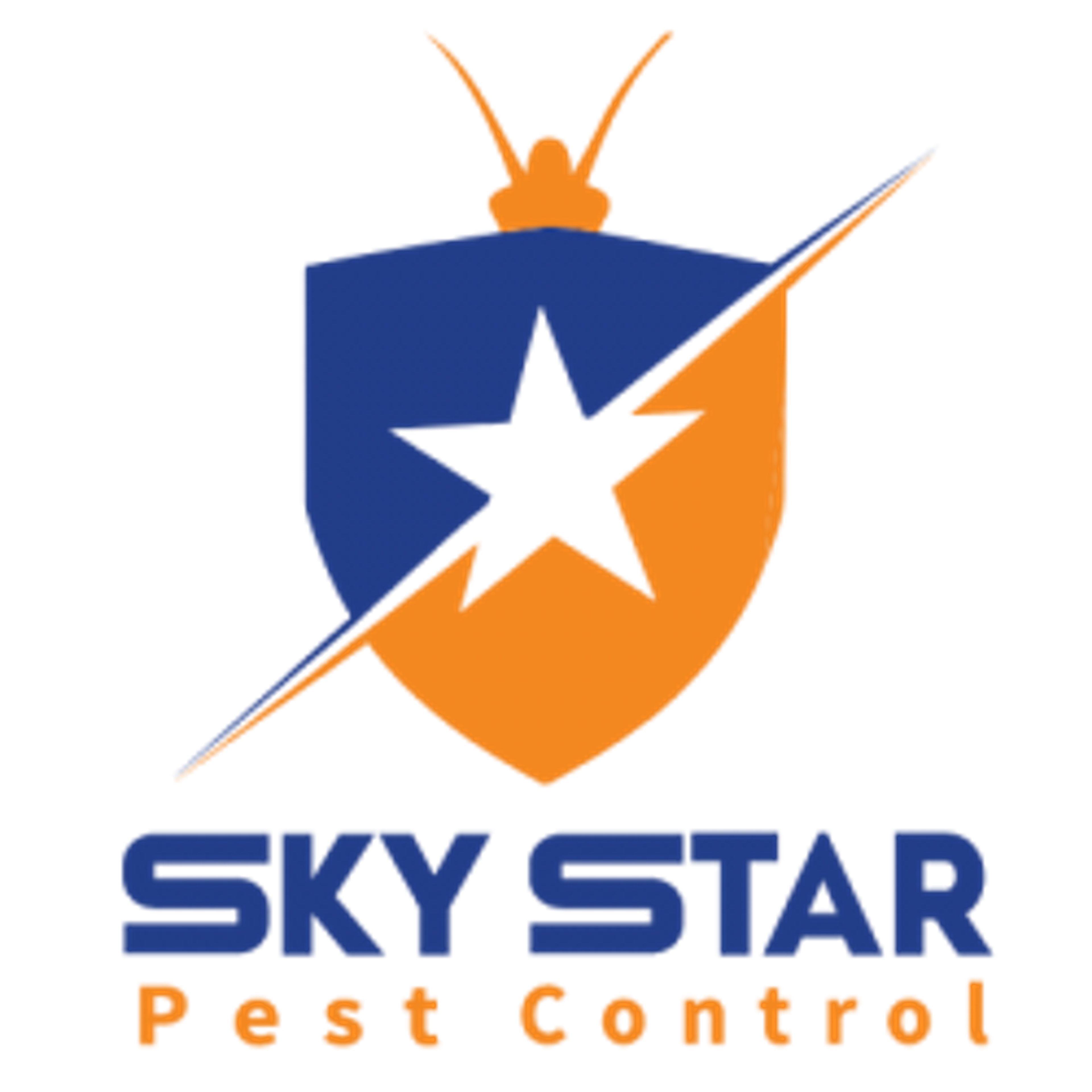 The-Skystar The-Skystar