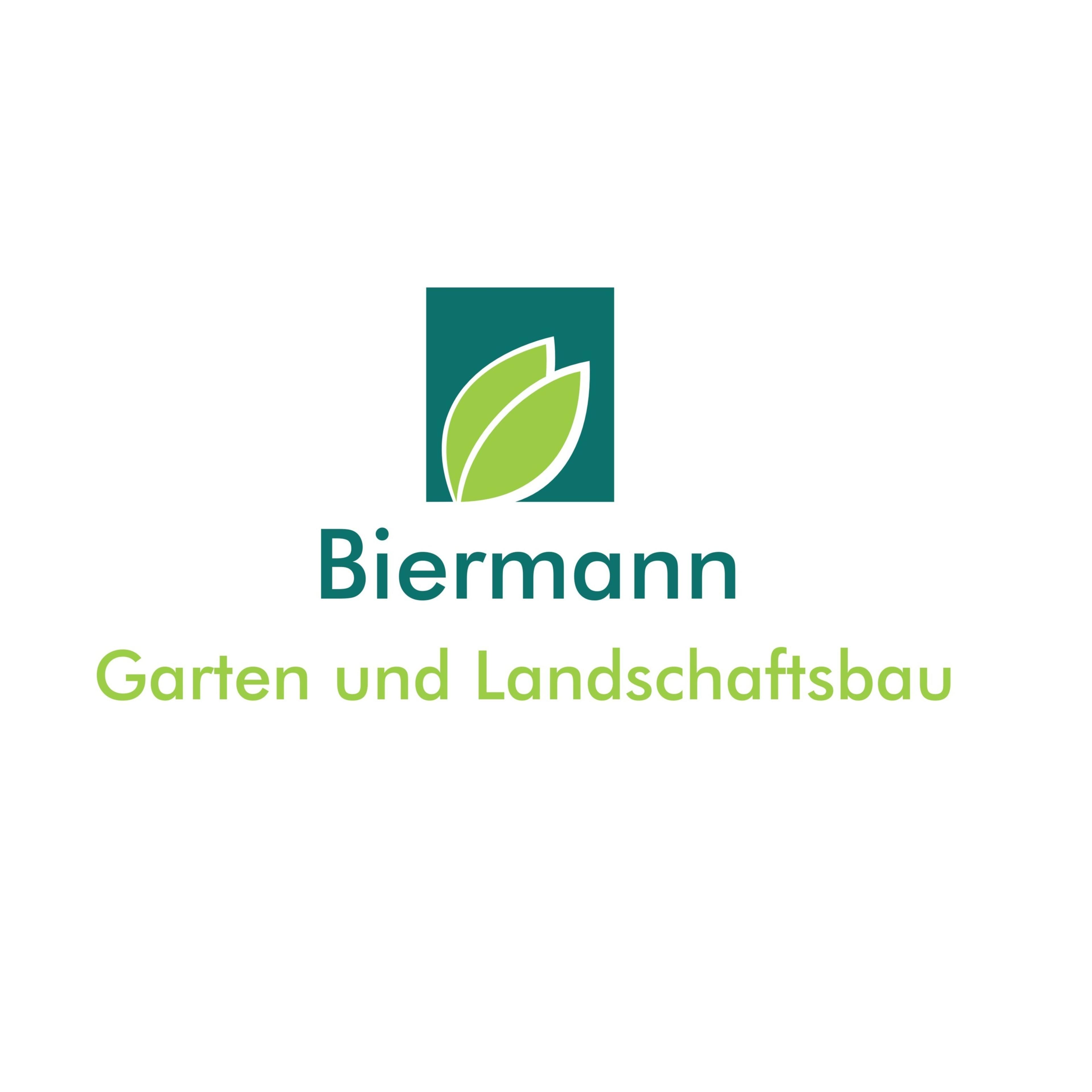 Michael Biermann