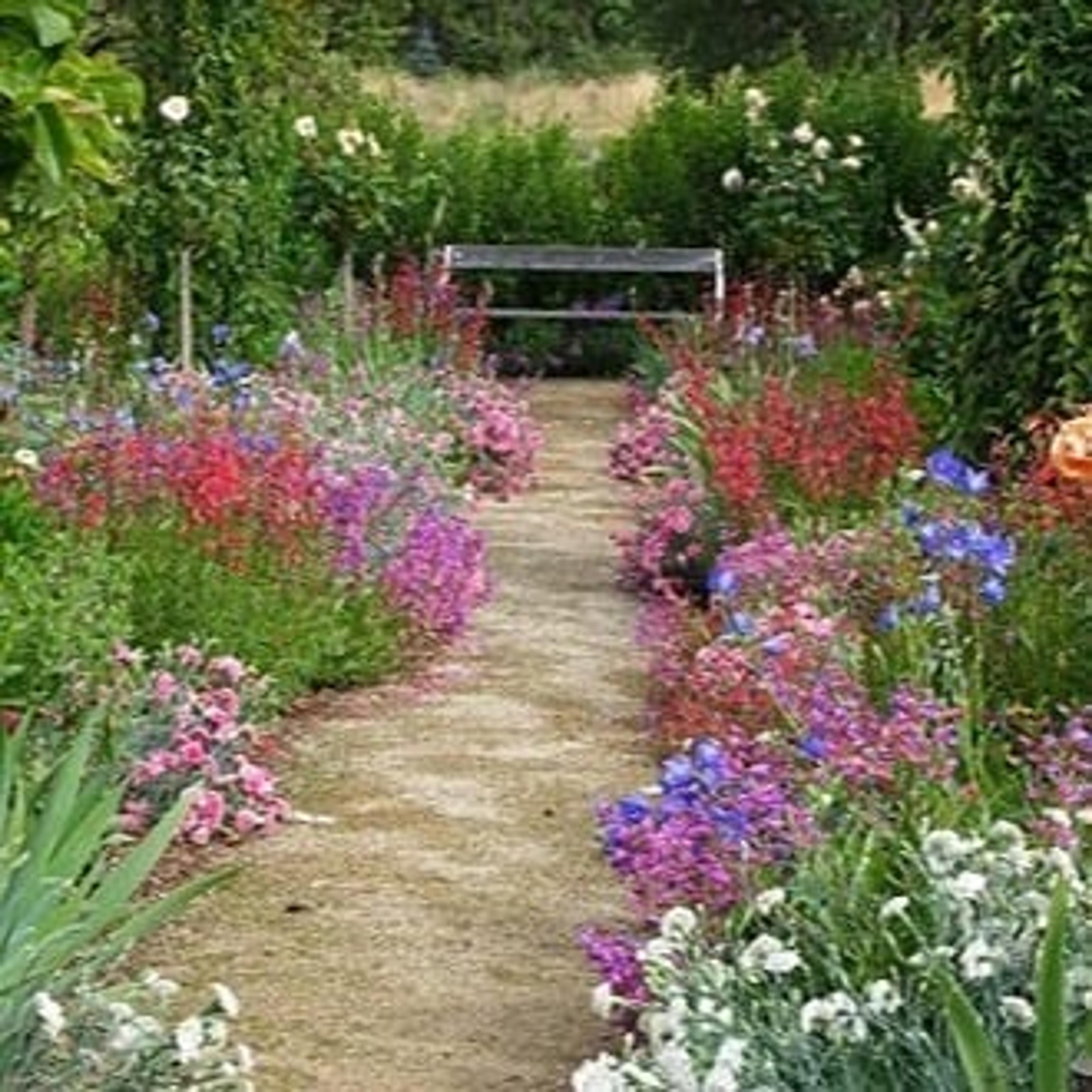 Il Giardino di Nicolini Mirella