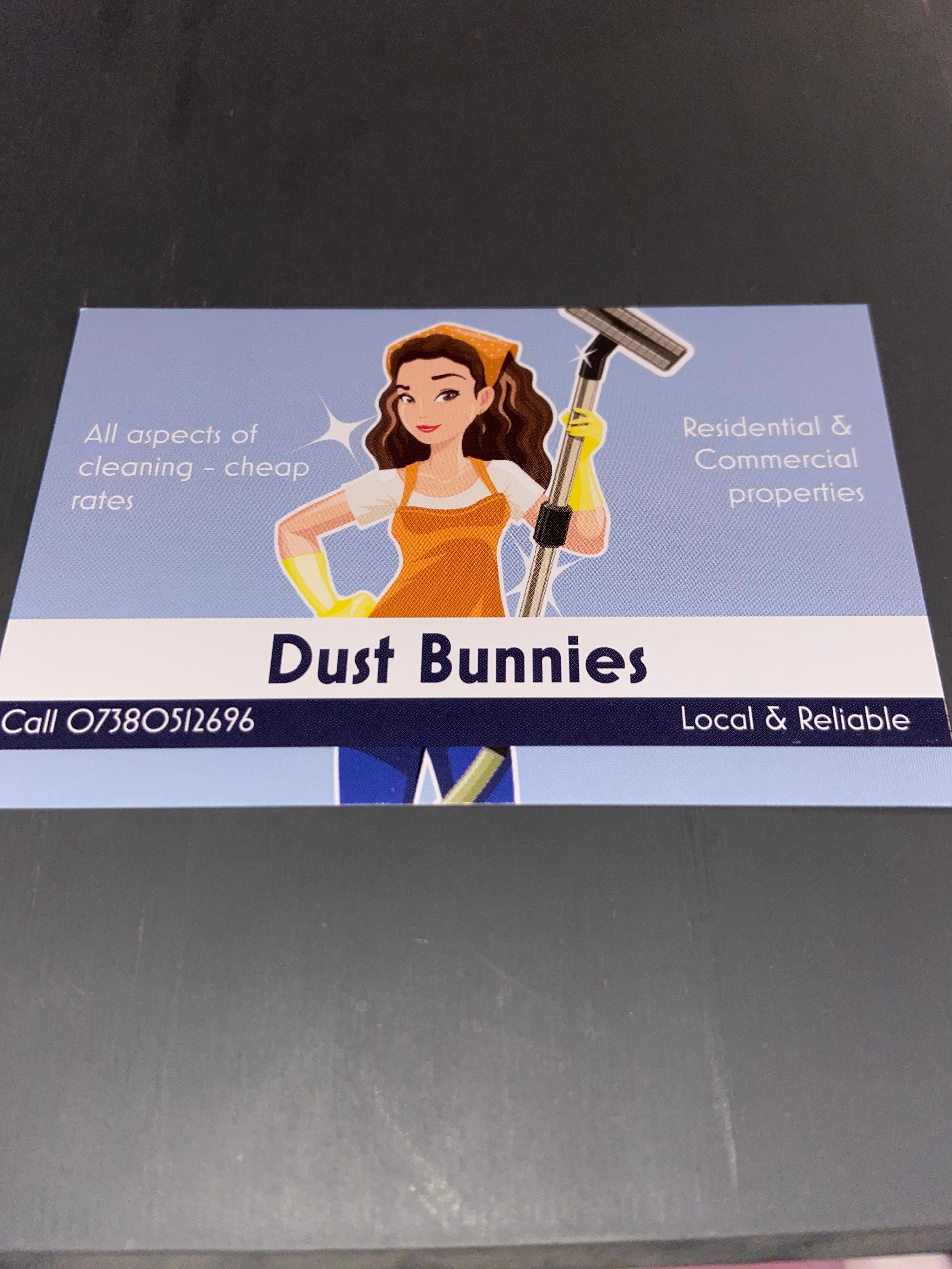 Dust Bunnies