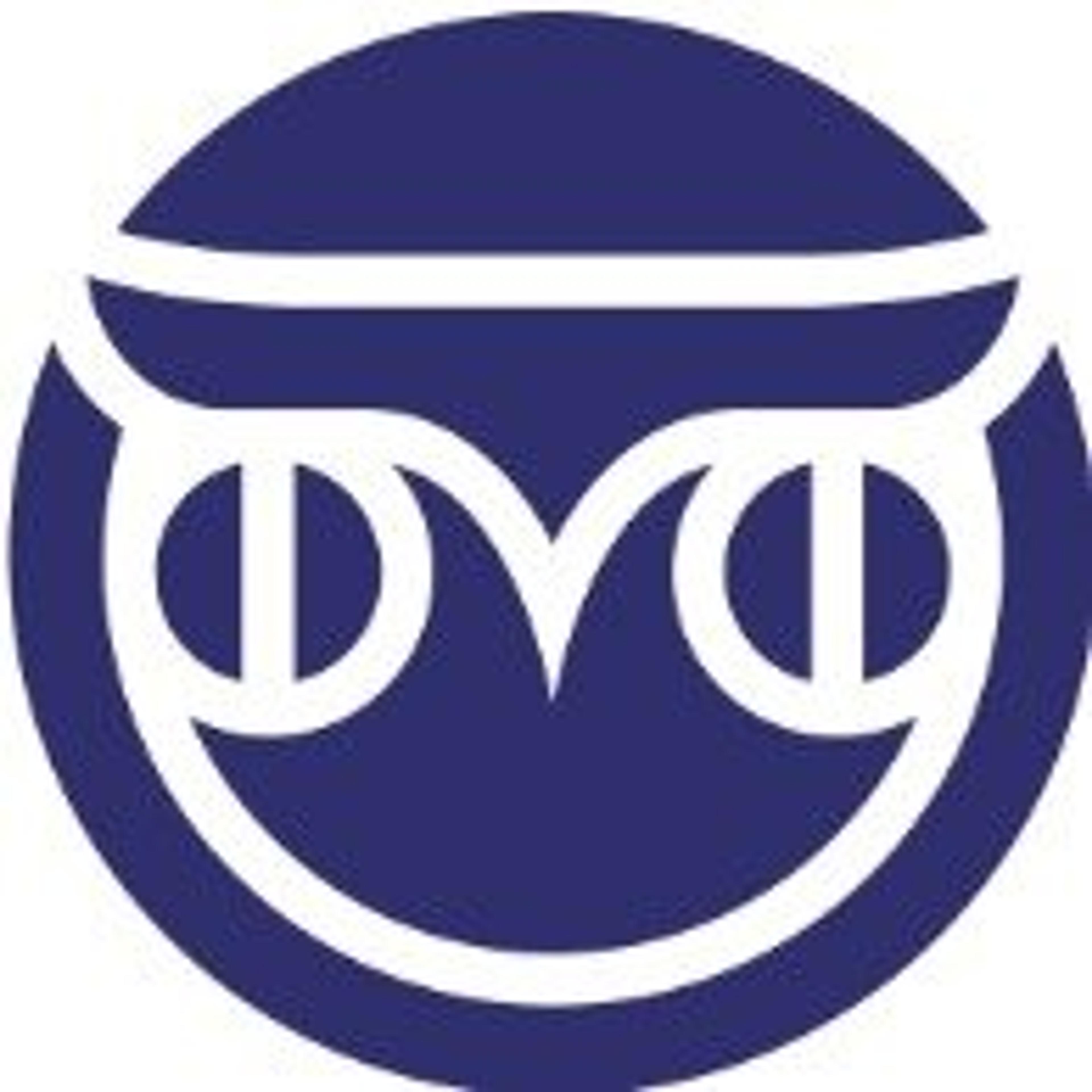 Vis Group Srl