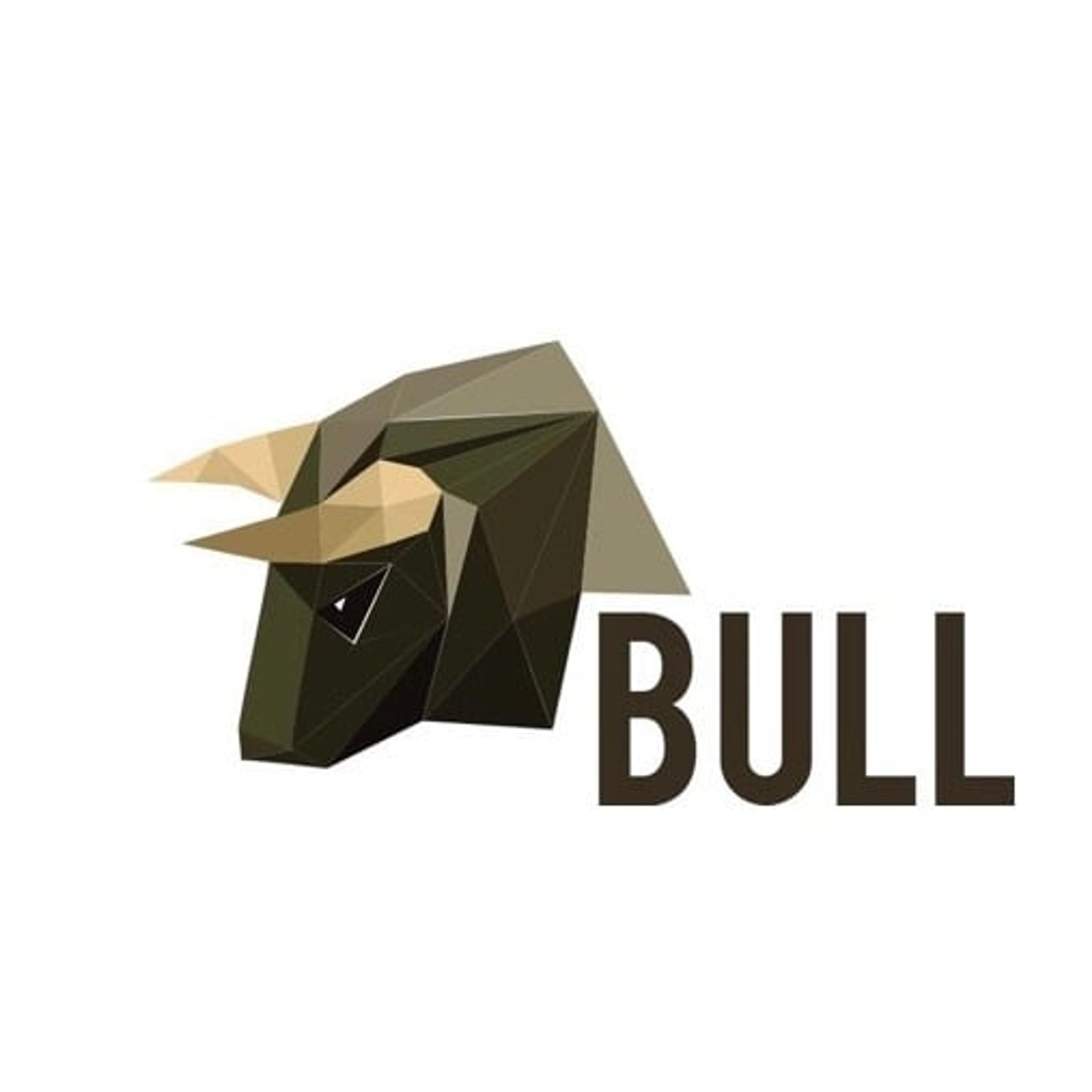 Bull Srl