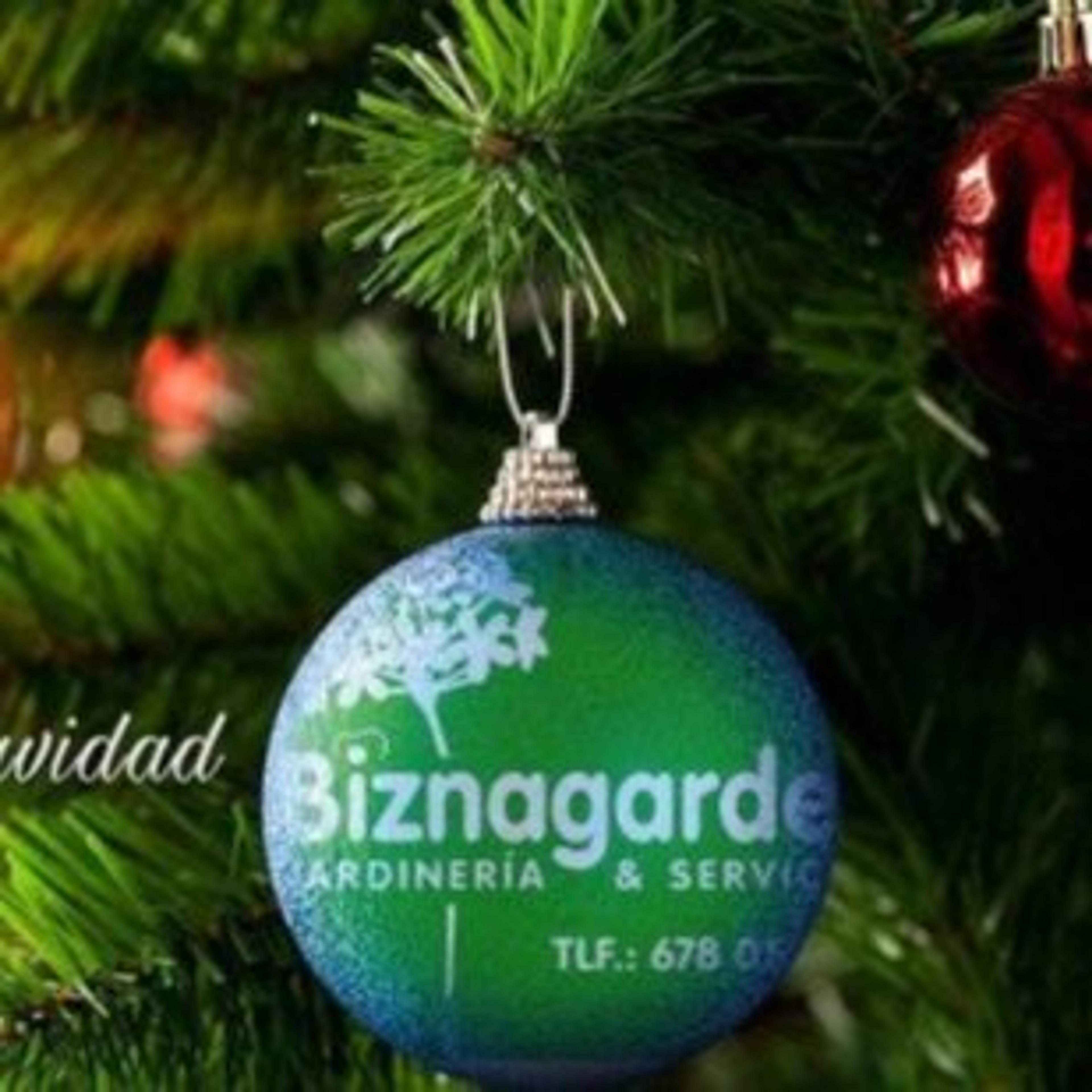 Biznagarden Jardinería Benalmádena