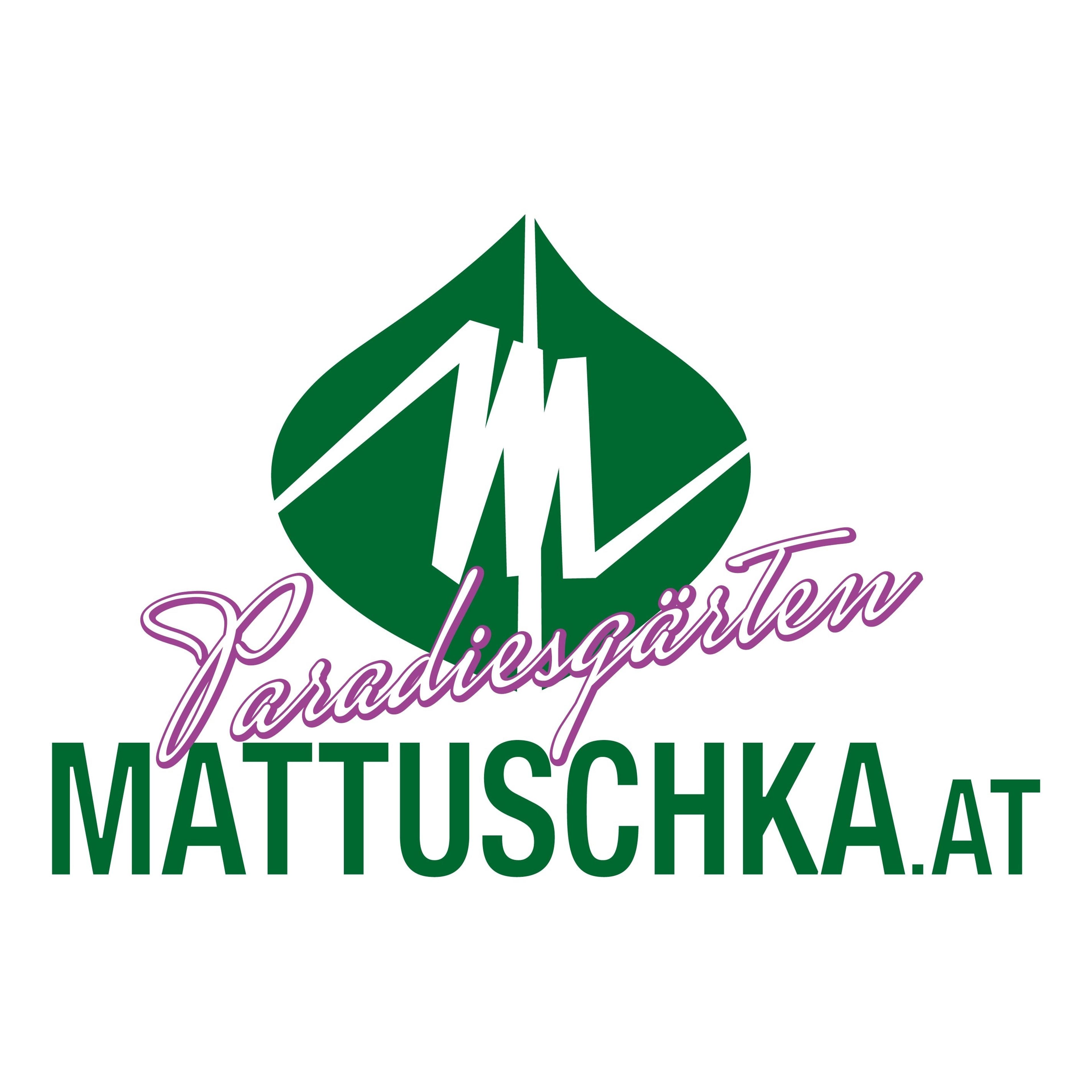 Heidrun Spörk-mattuschka