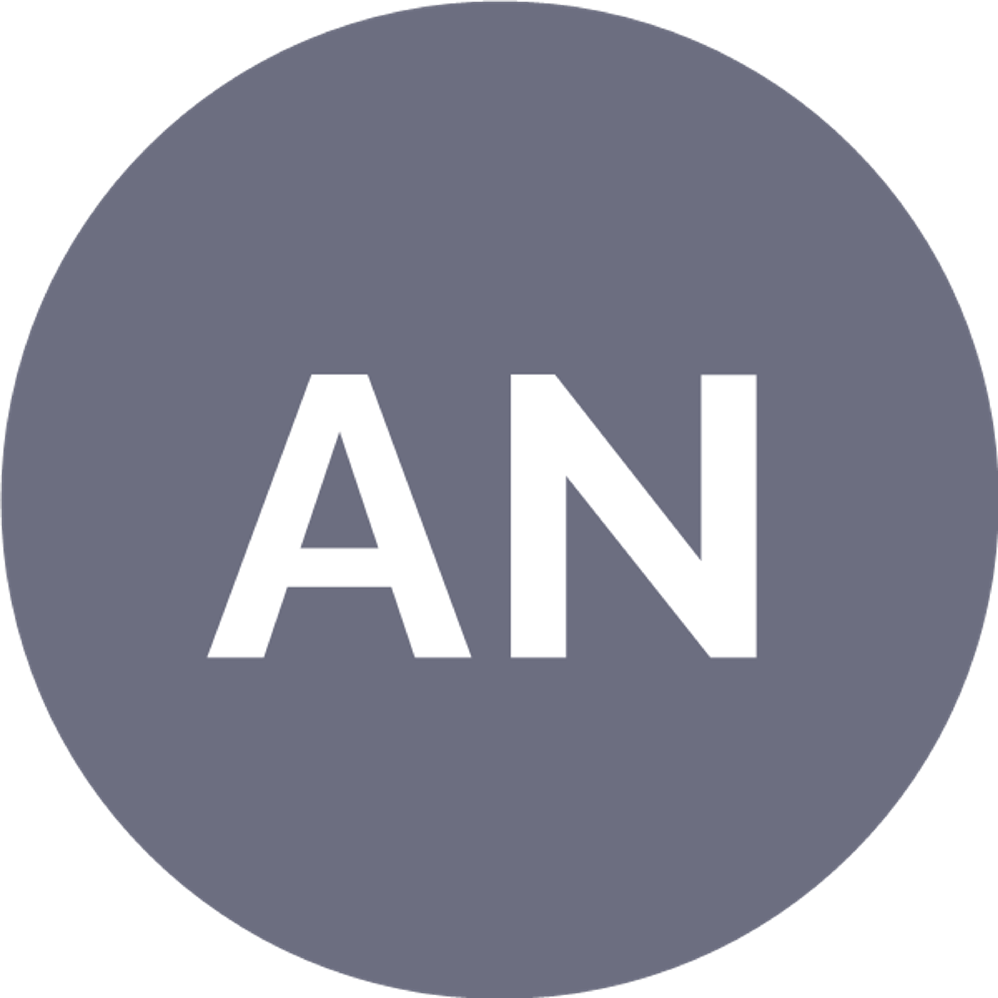 Andrei Negoita