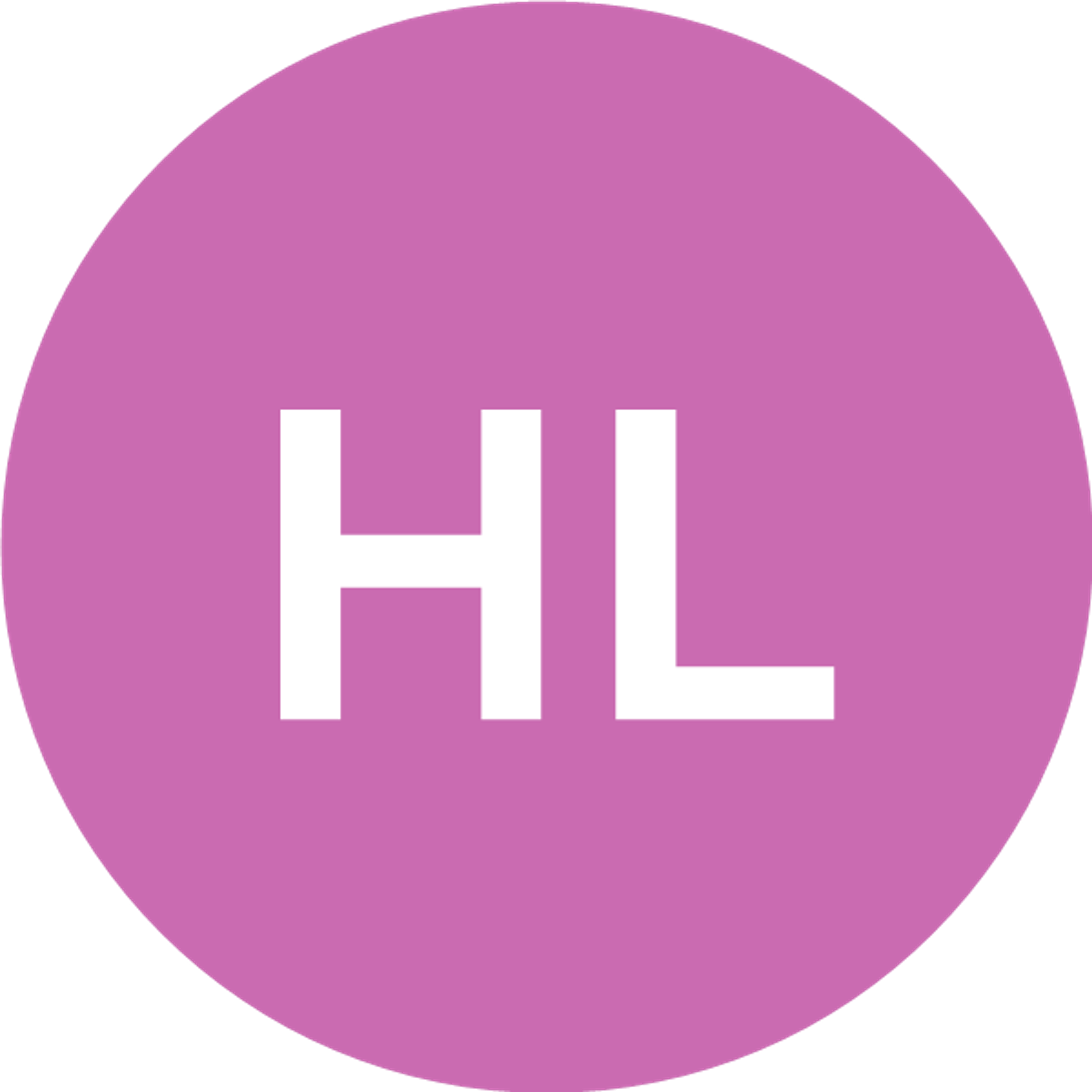Hs builders london ltd