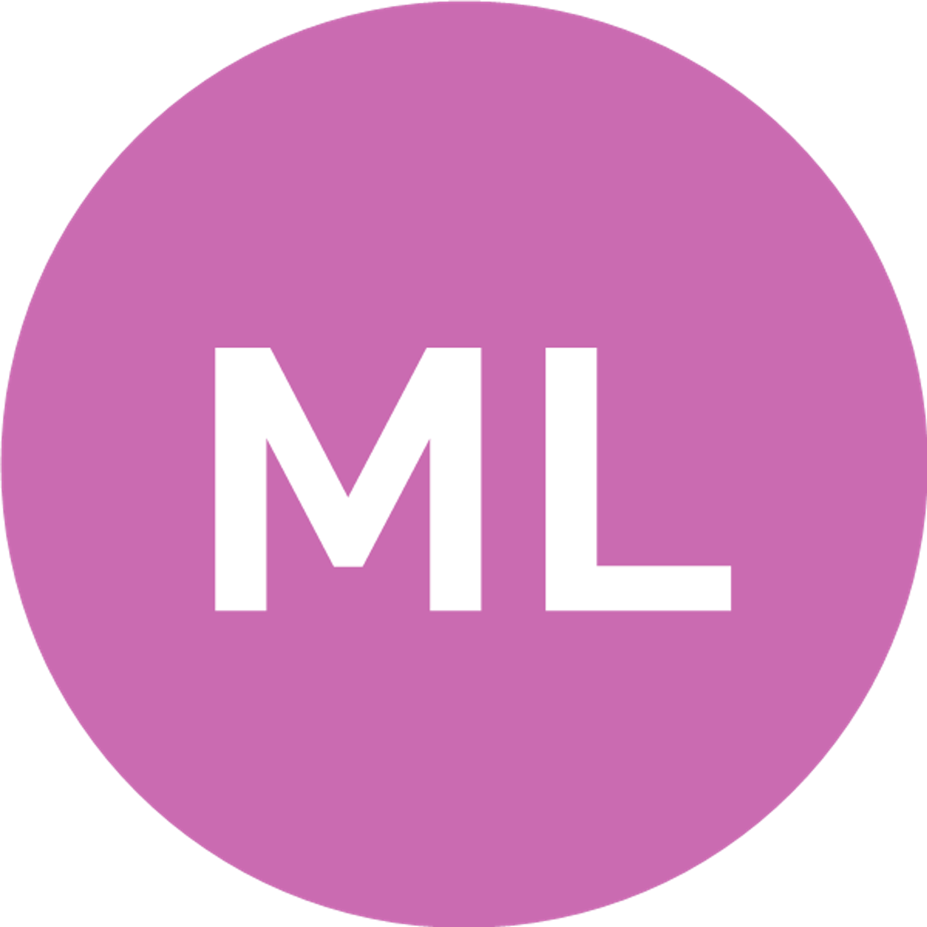 Multi Service Maicol