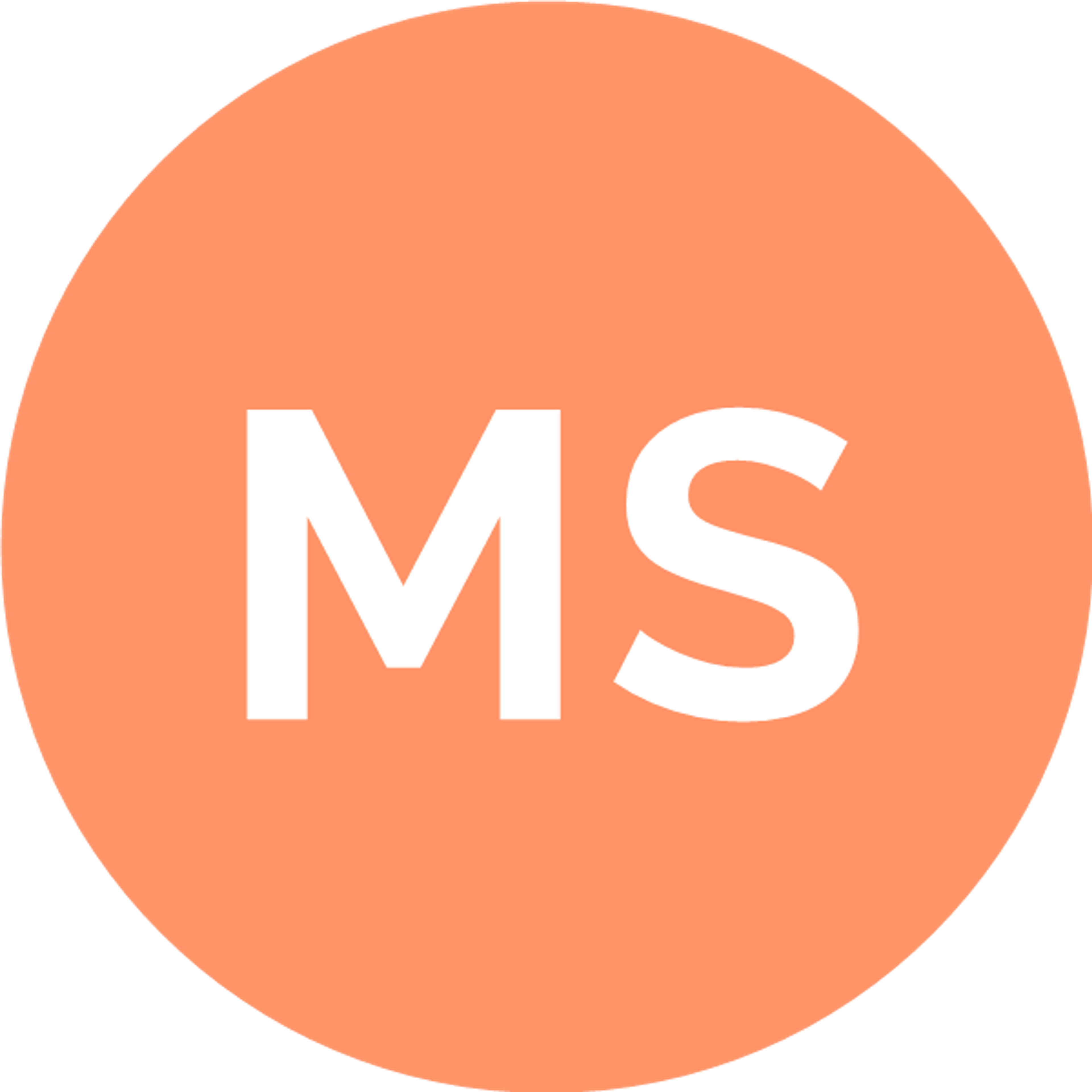 MS Gebaudereinigung