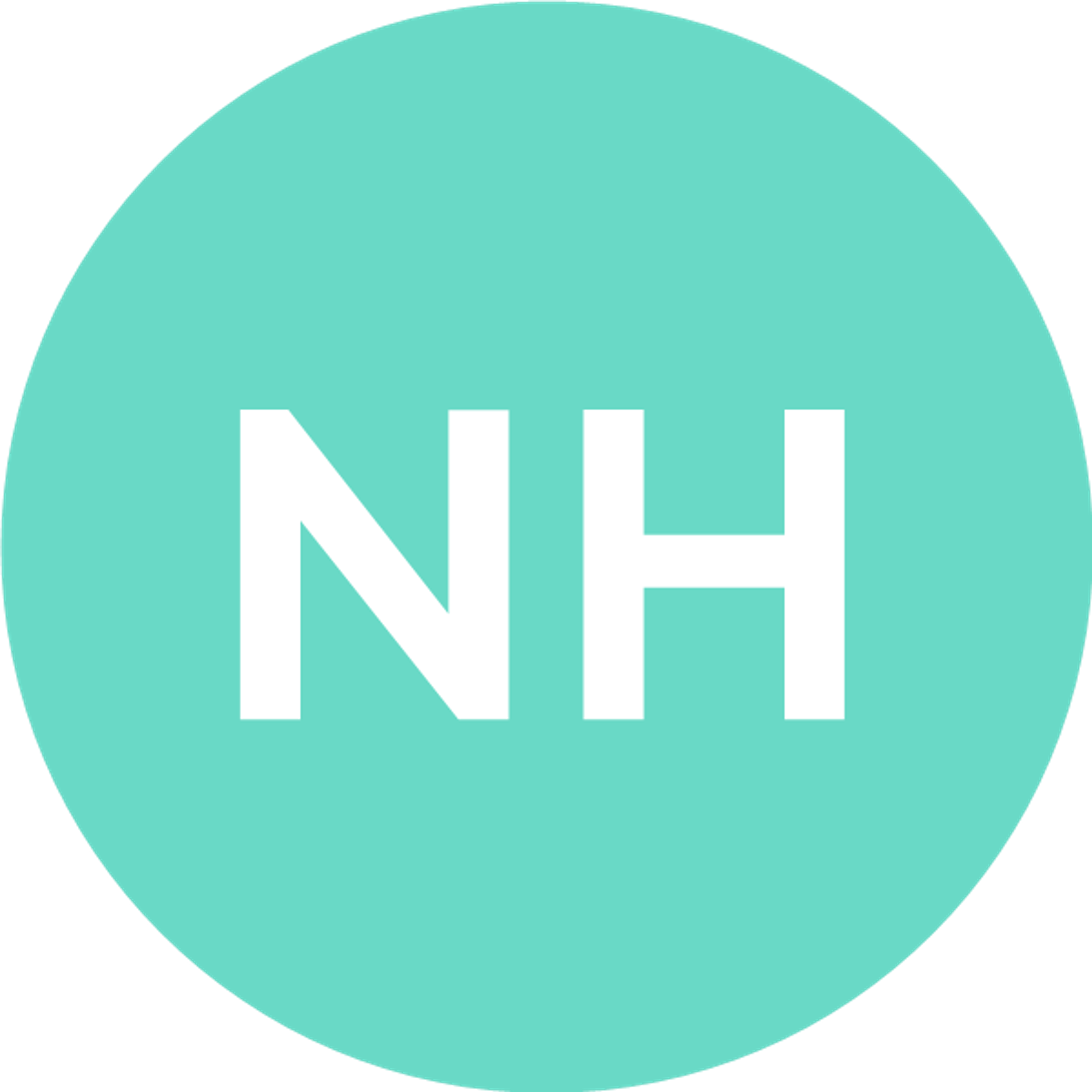 Nadir Hussain