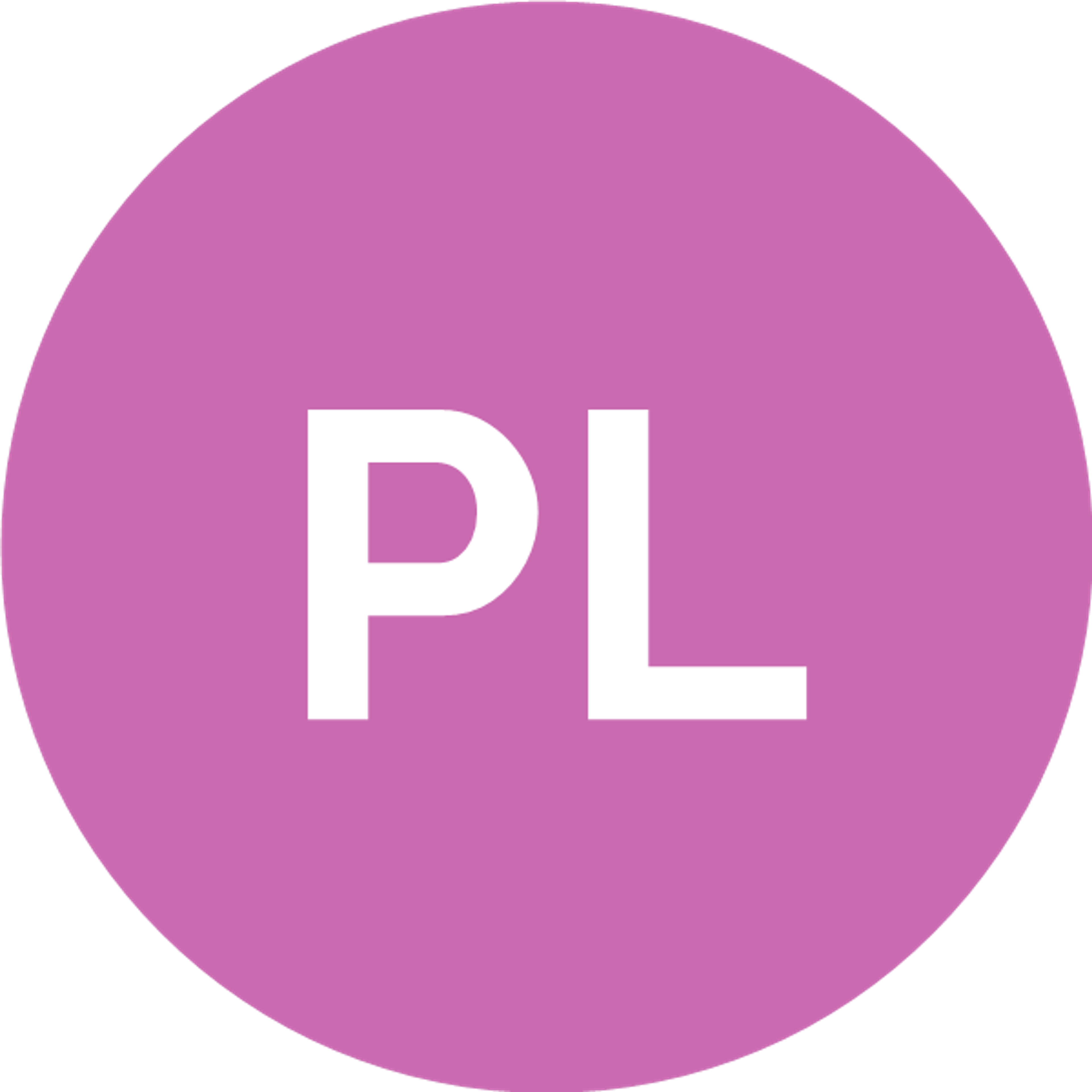 Pilar Leis Puñal
