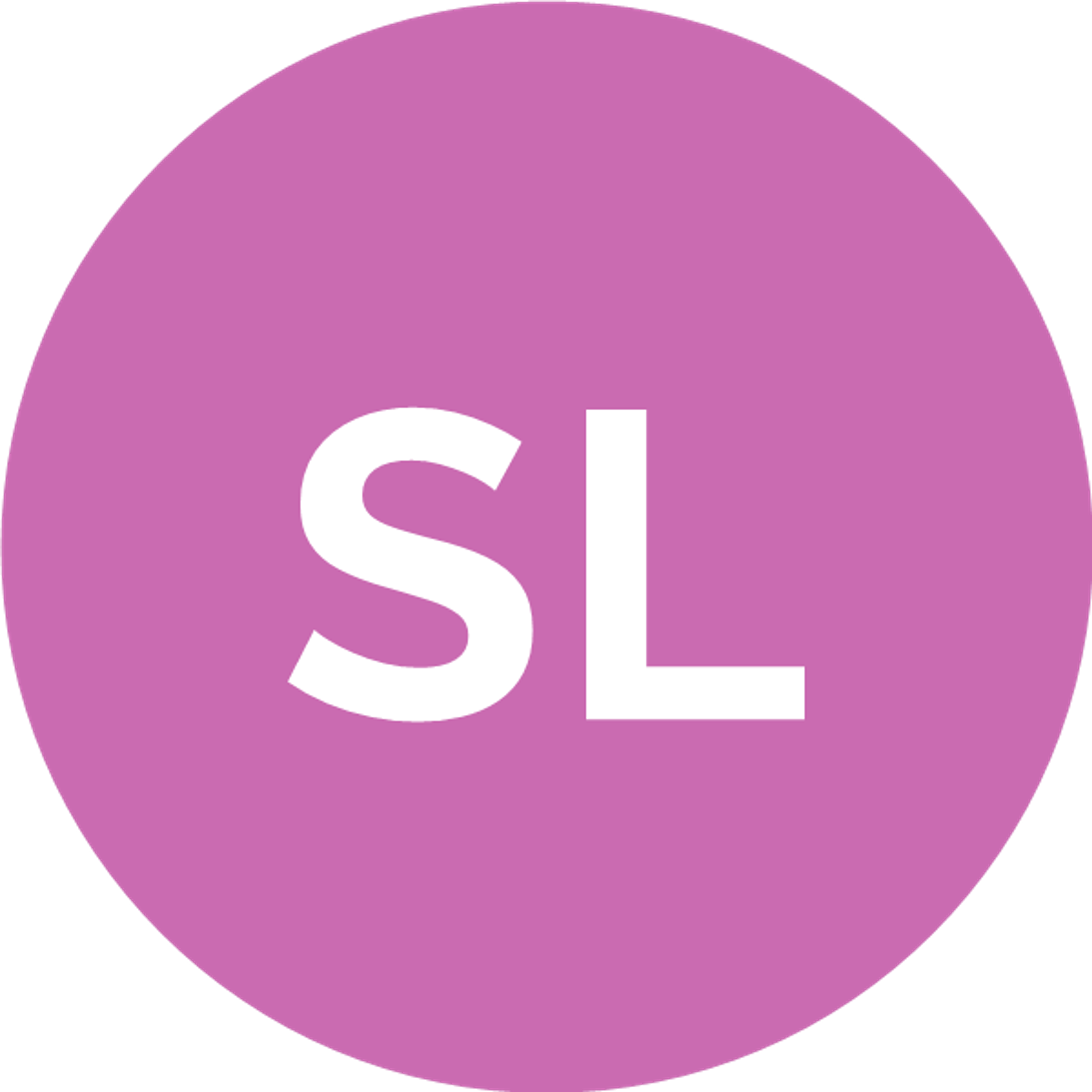 Schmidt Services