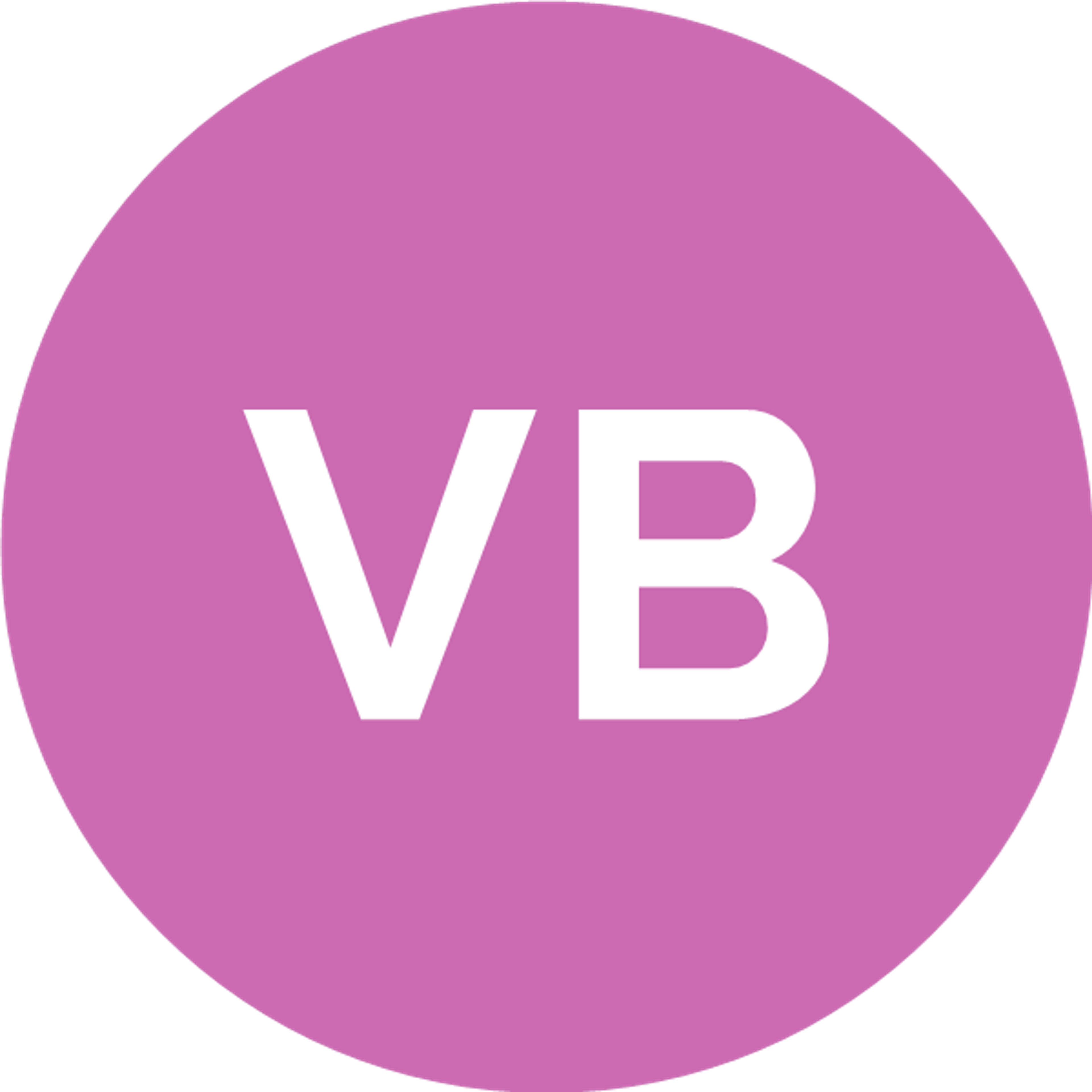 Vasile Bivol Bivol
