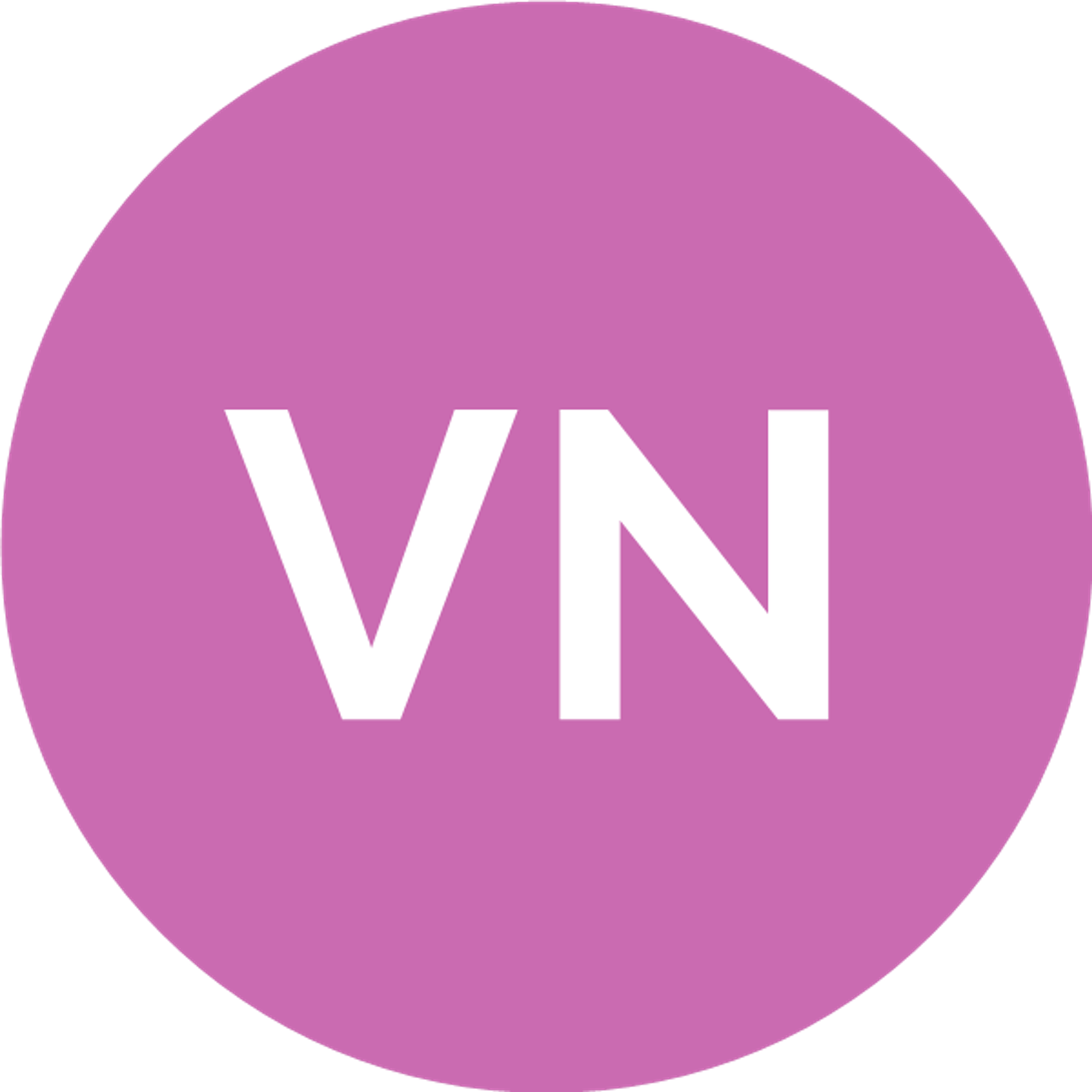 Vincenzo Negro