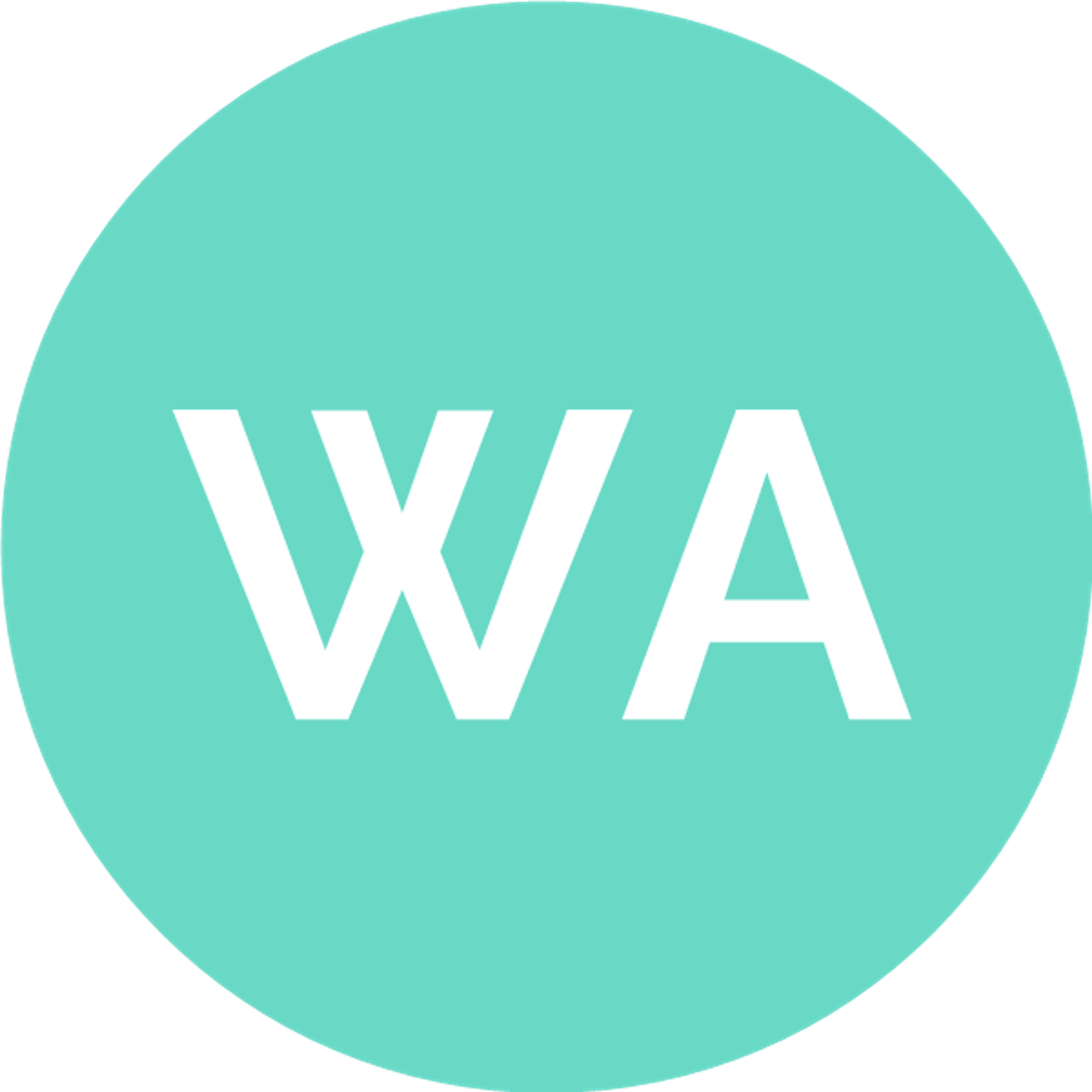 Waseem abouchoukair