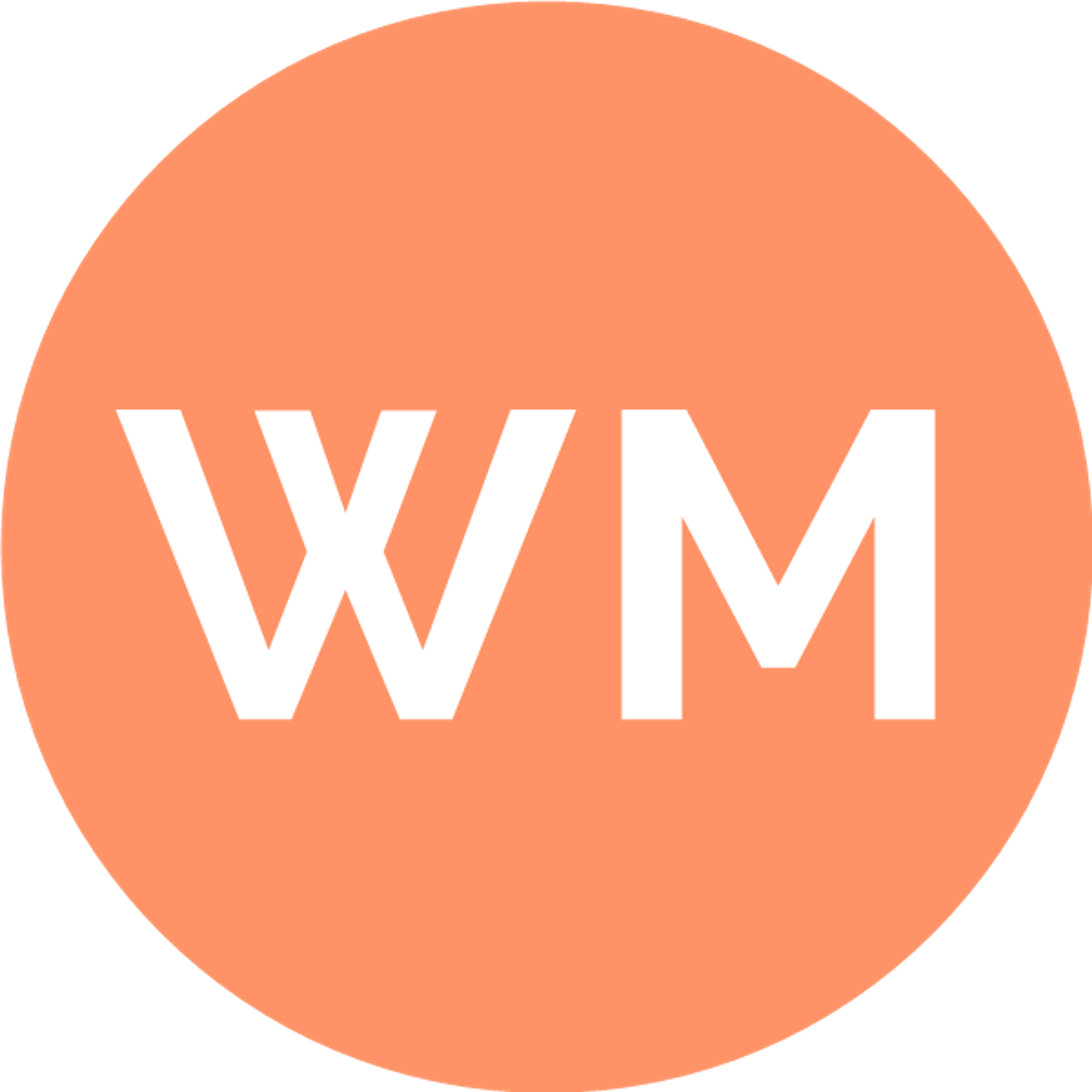 Wayne Mason Ltd