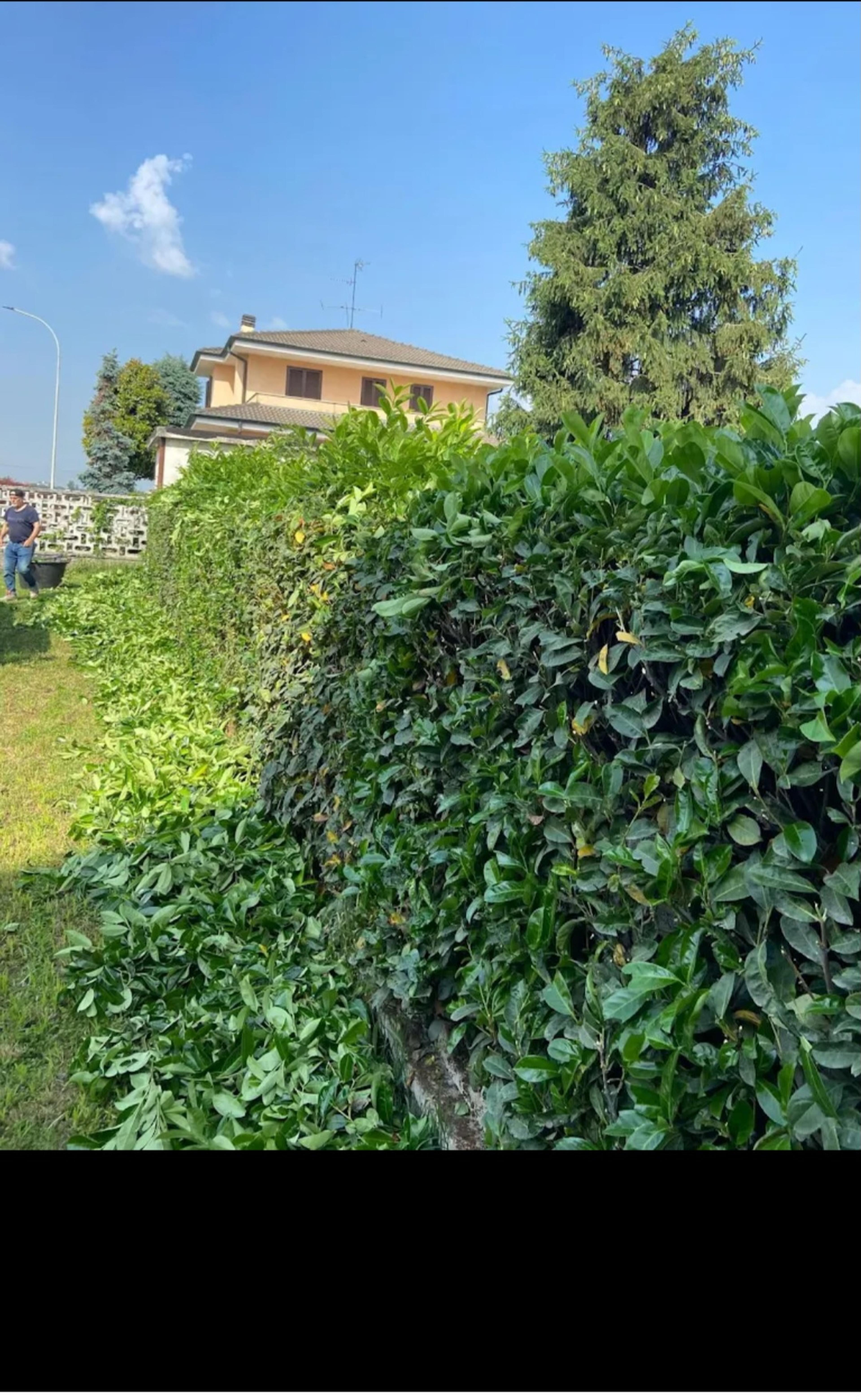 NEW LA PIRAMIDE SERVIZI DI PULIZIA E GIARDINAGGIO