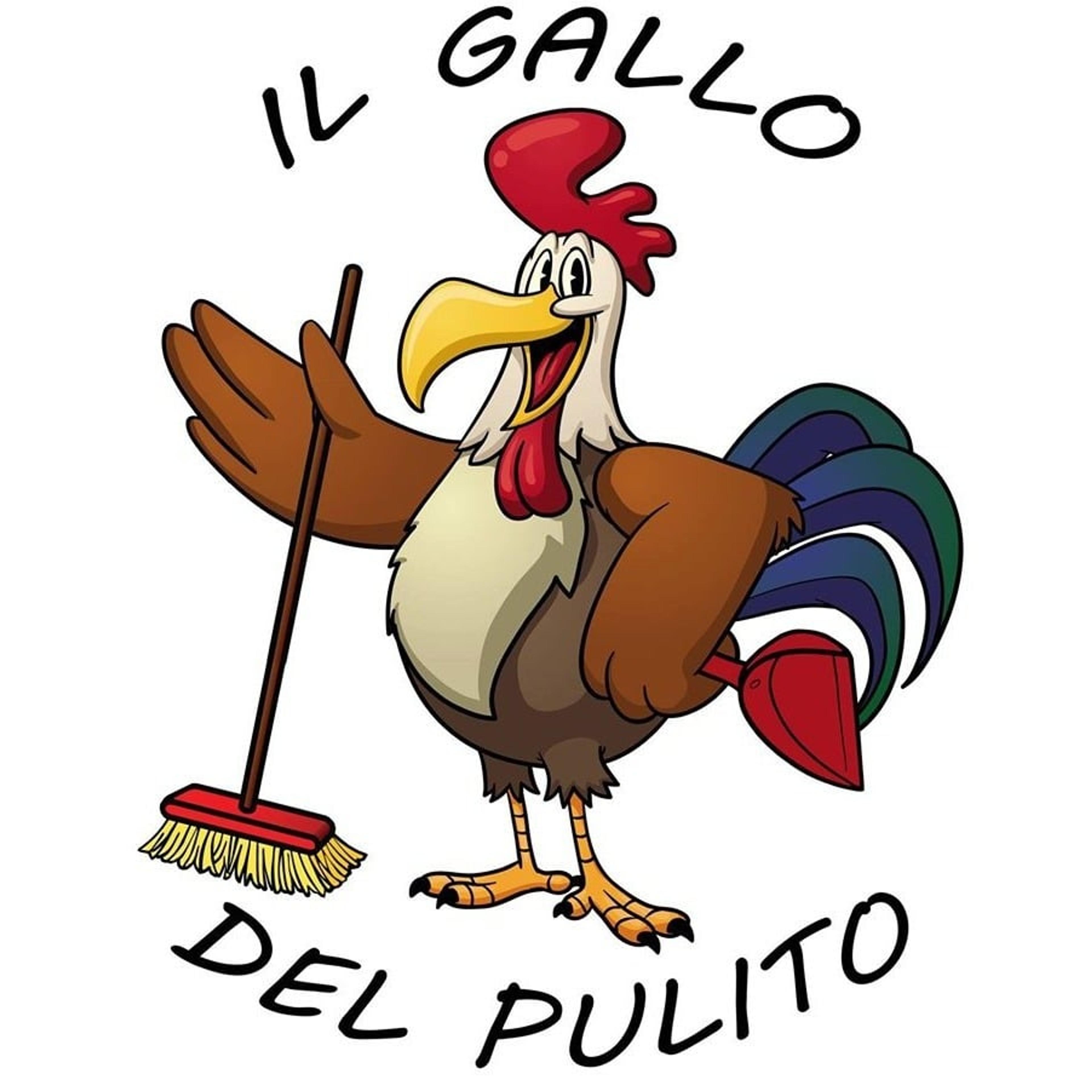 Il Gallo del pulito