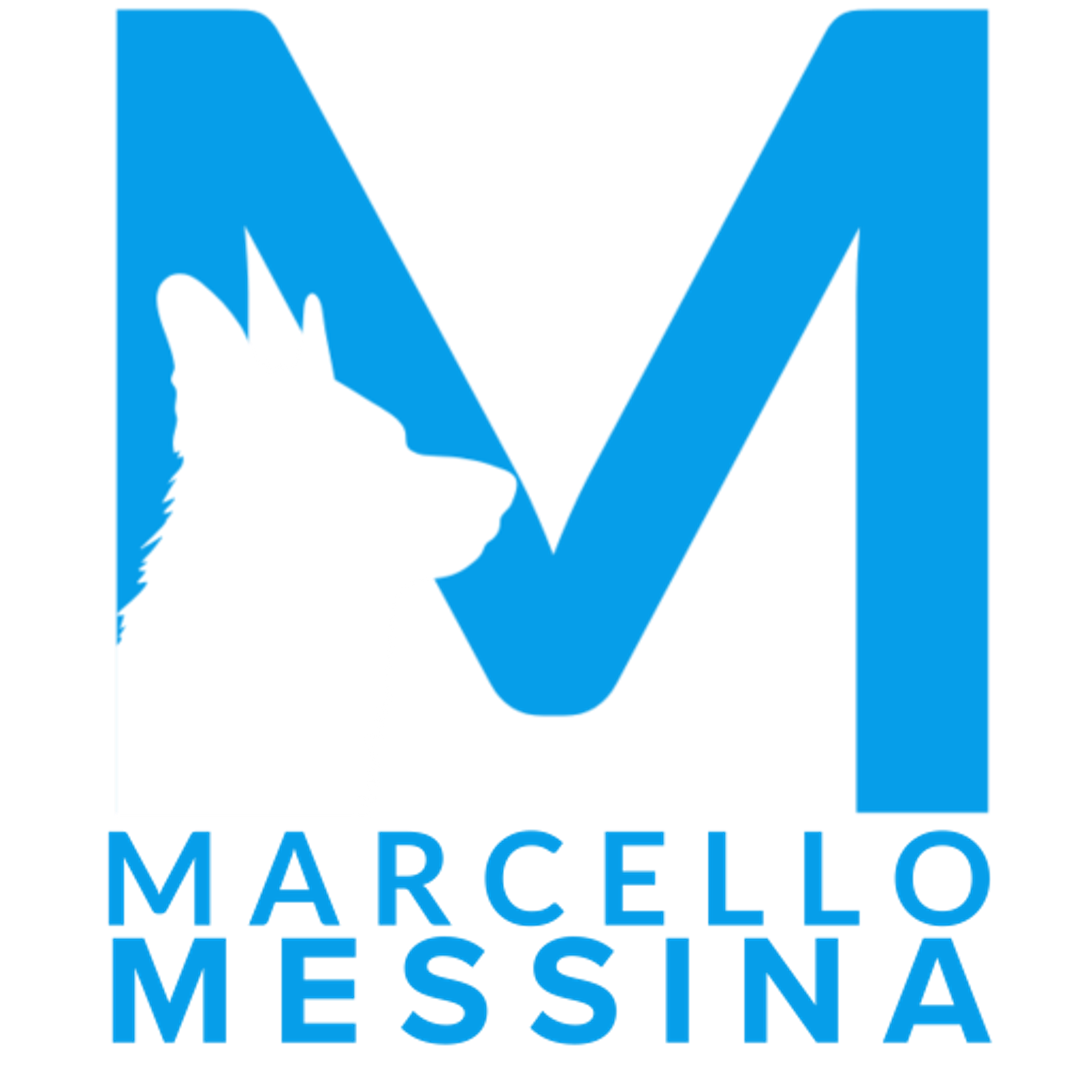 Marcello messina