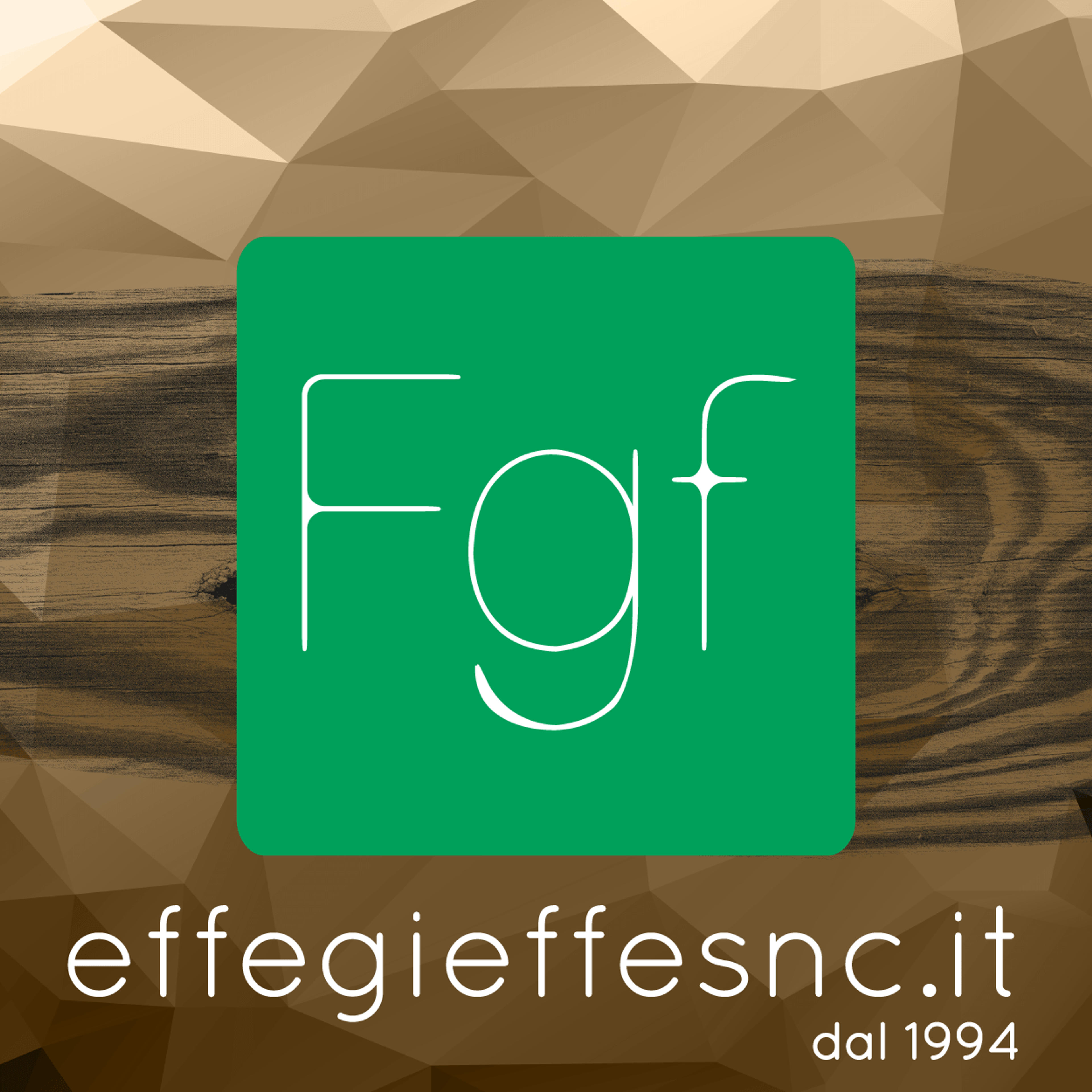 Effegieffe s.n.c. di Ferraro M. e Franchi R.