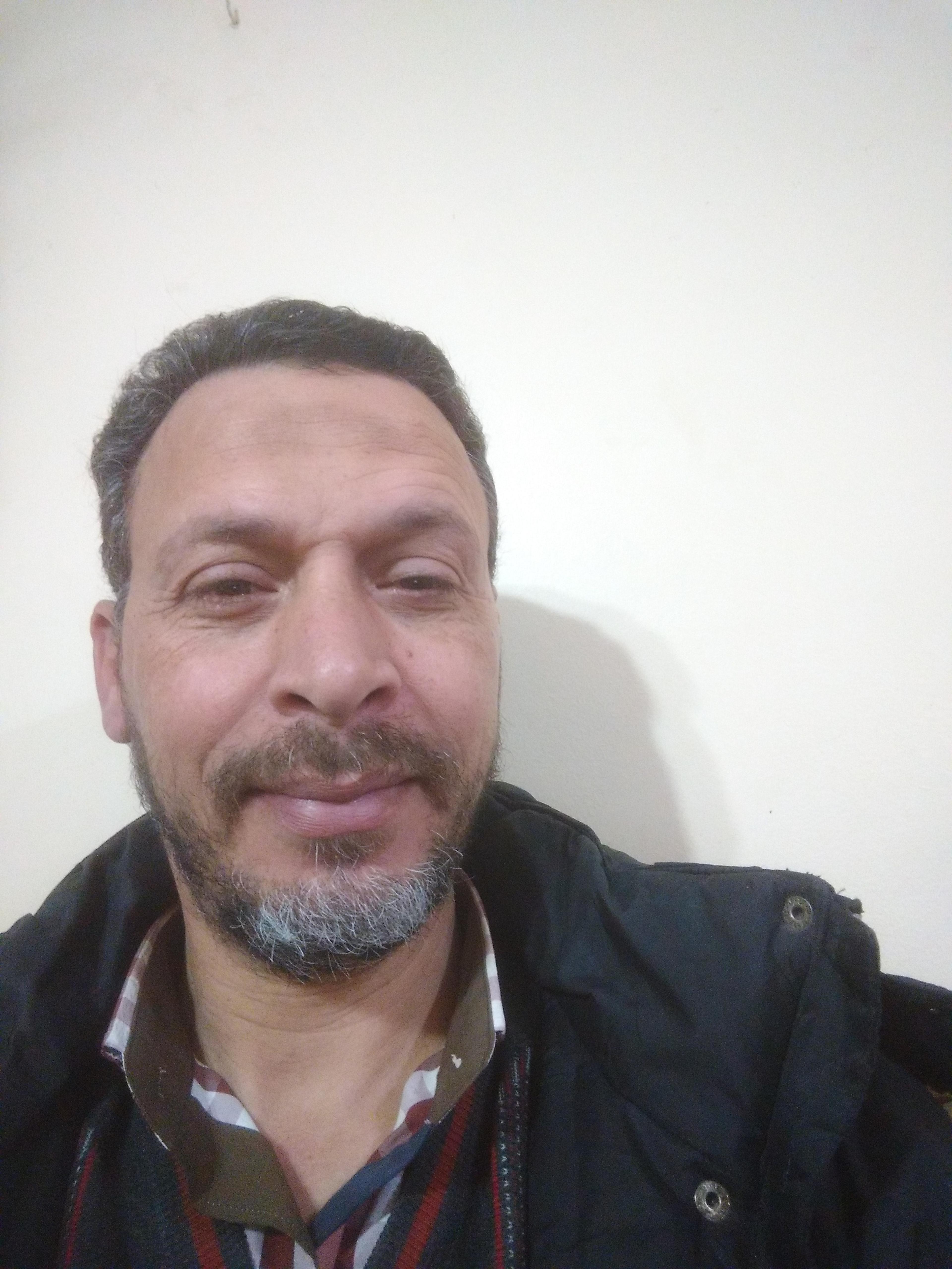 محمود حامد السيد احمد الشيشي