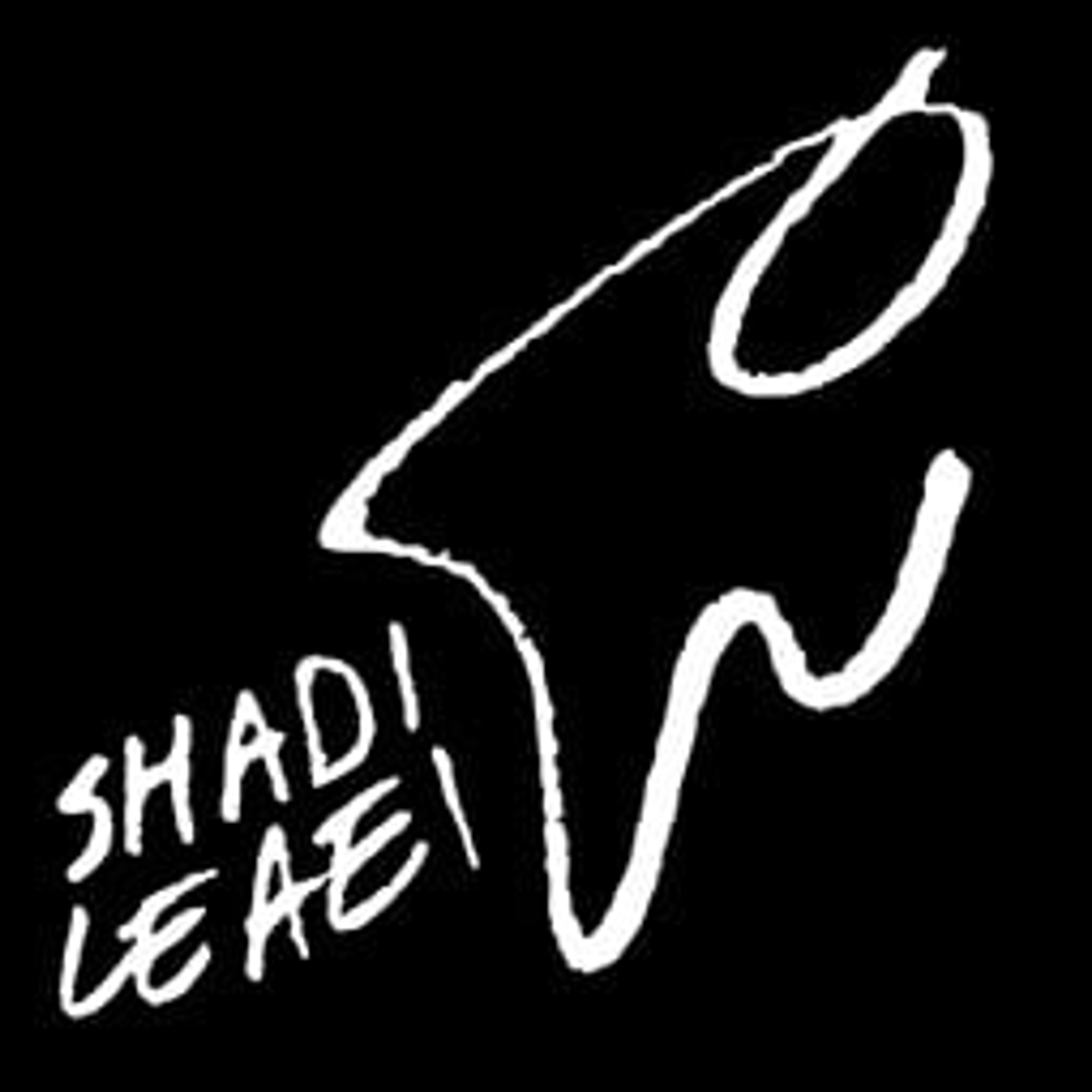 Shadi Leaei
