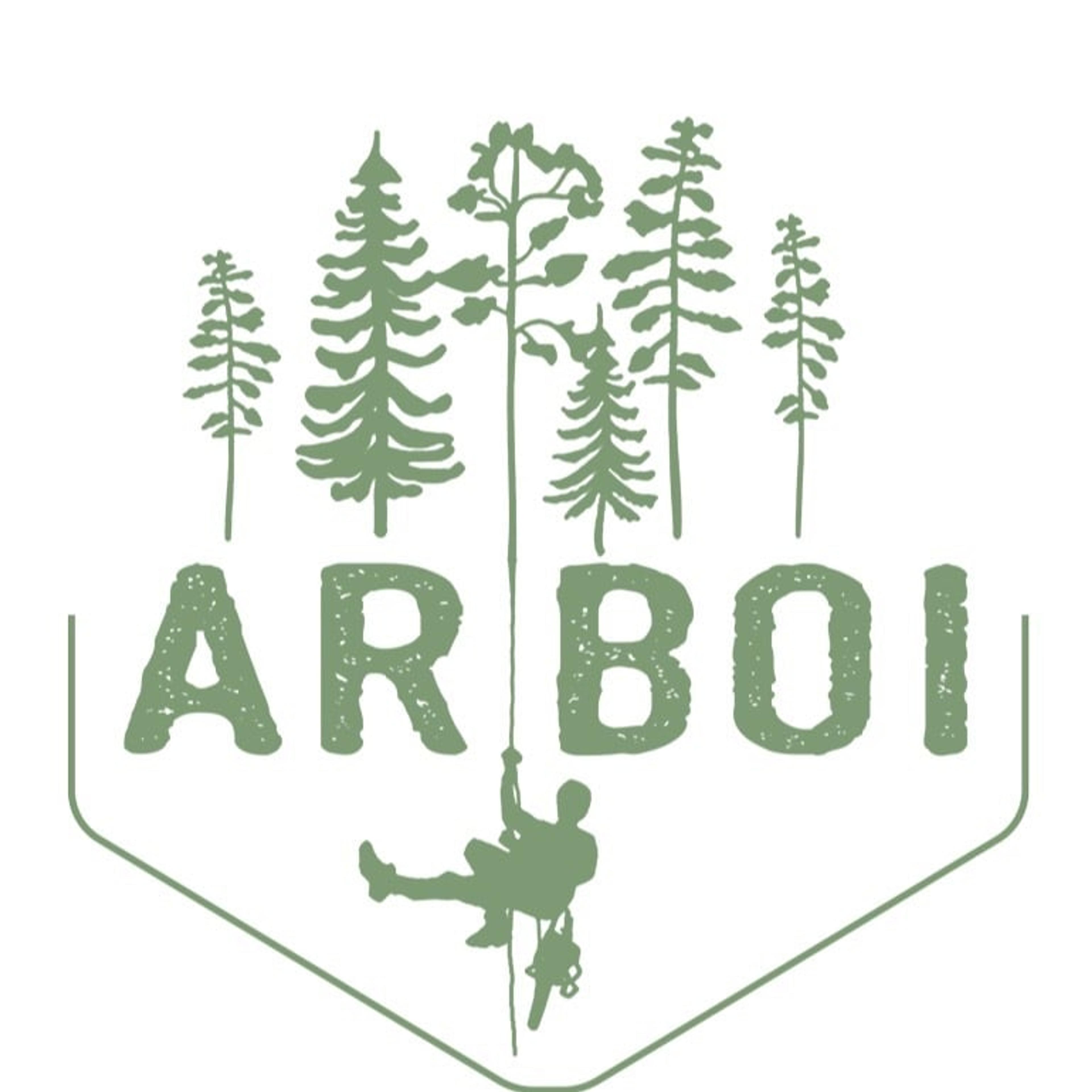 Arboi di Antonio Boi