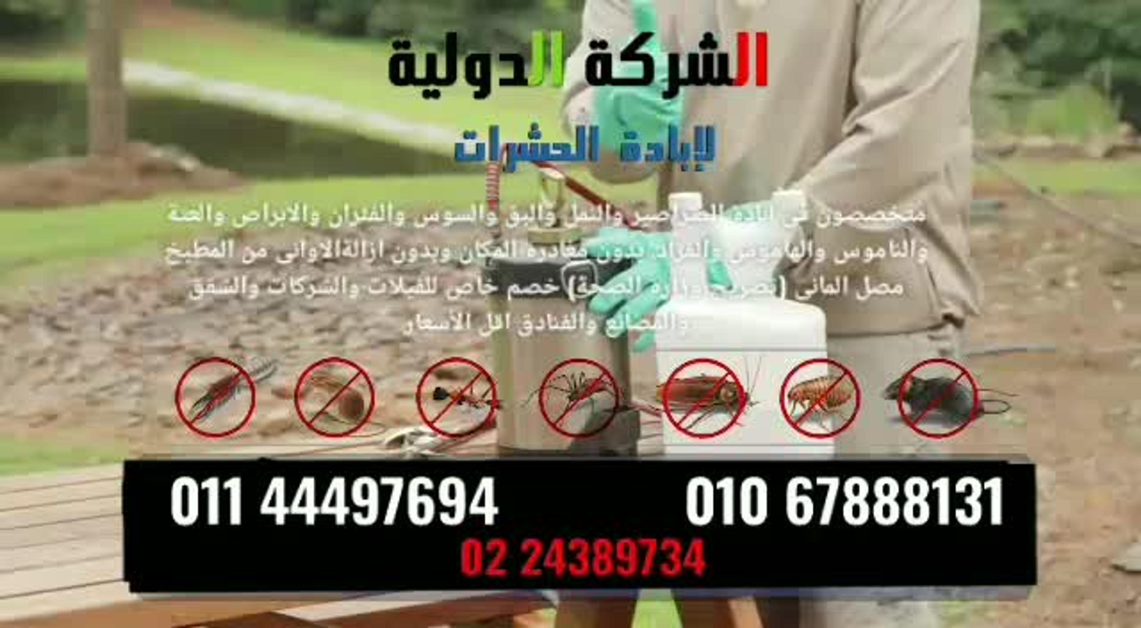 الألمانية كيميكال لابادة الحشرات