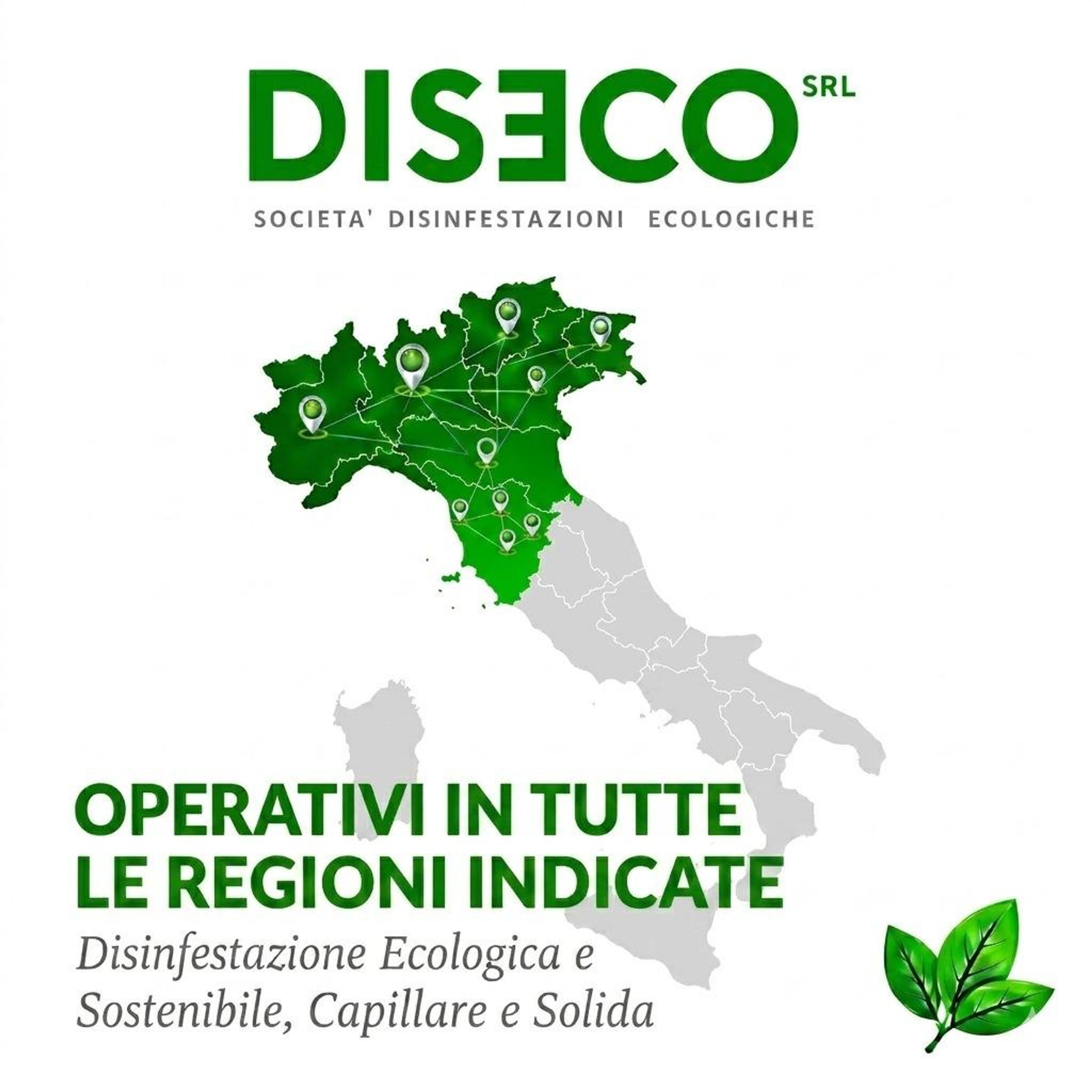 Diseco Srl