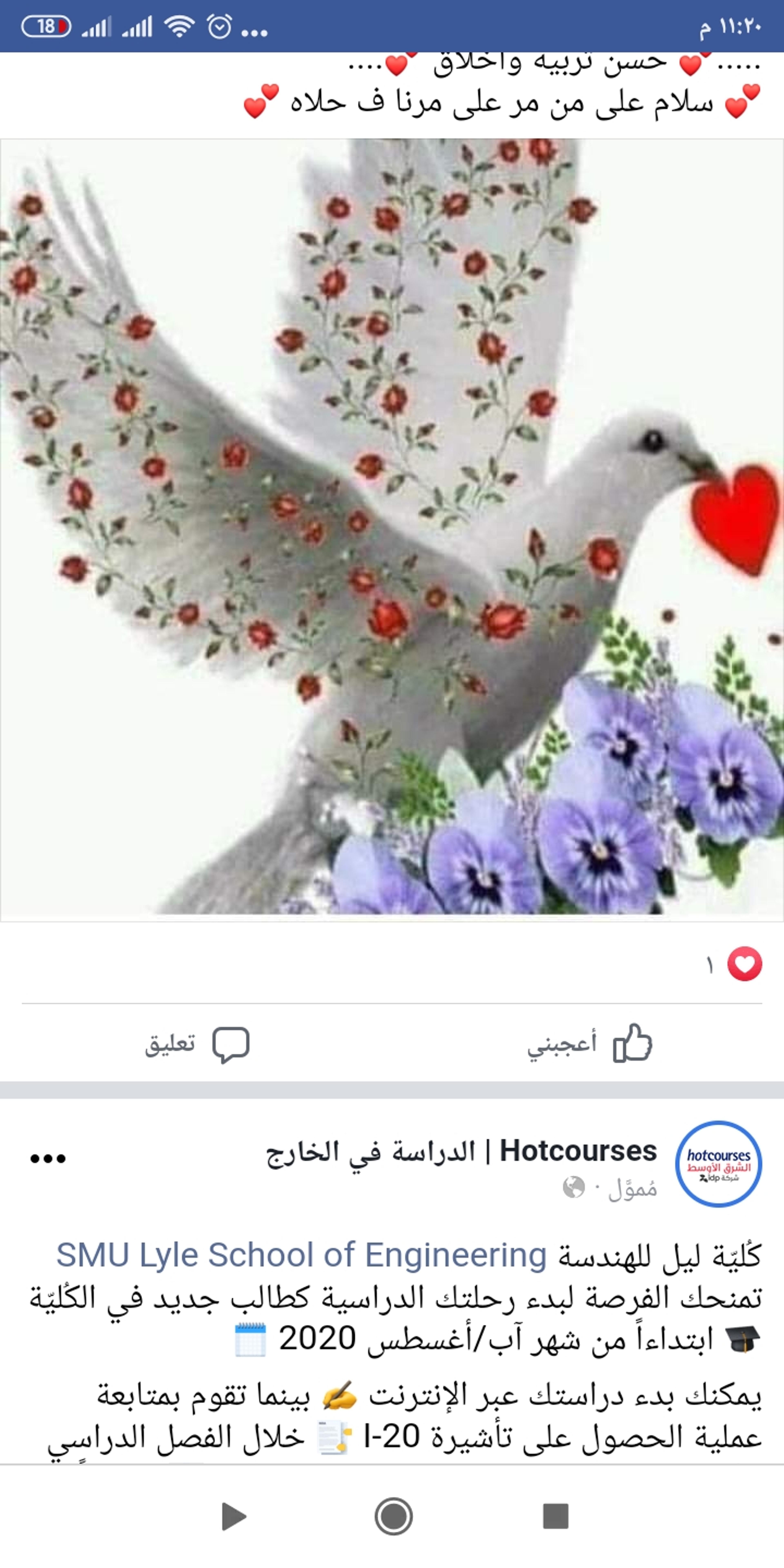 محمد محمود