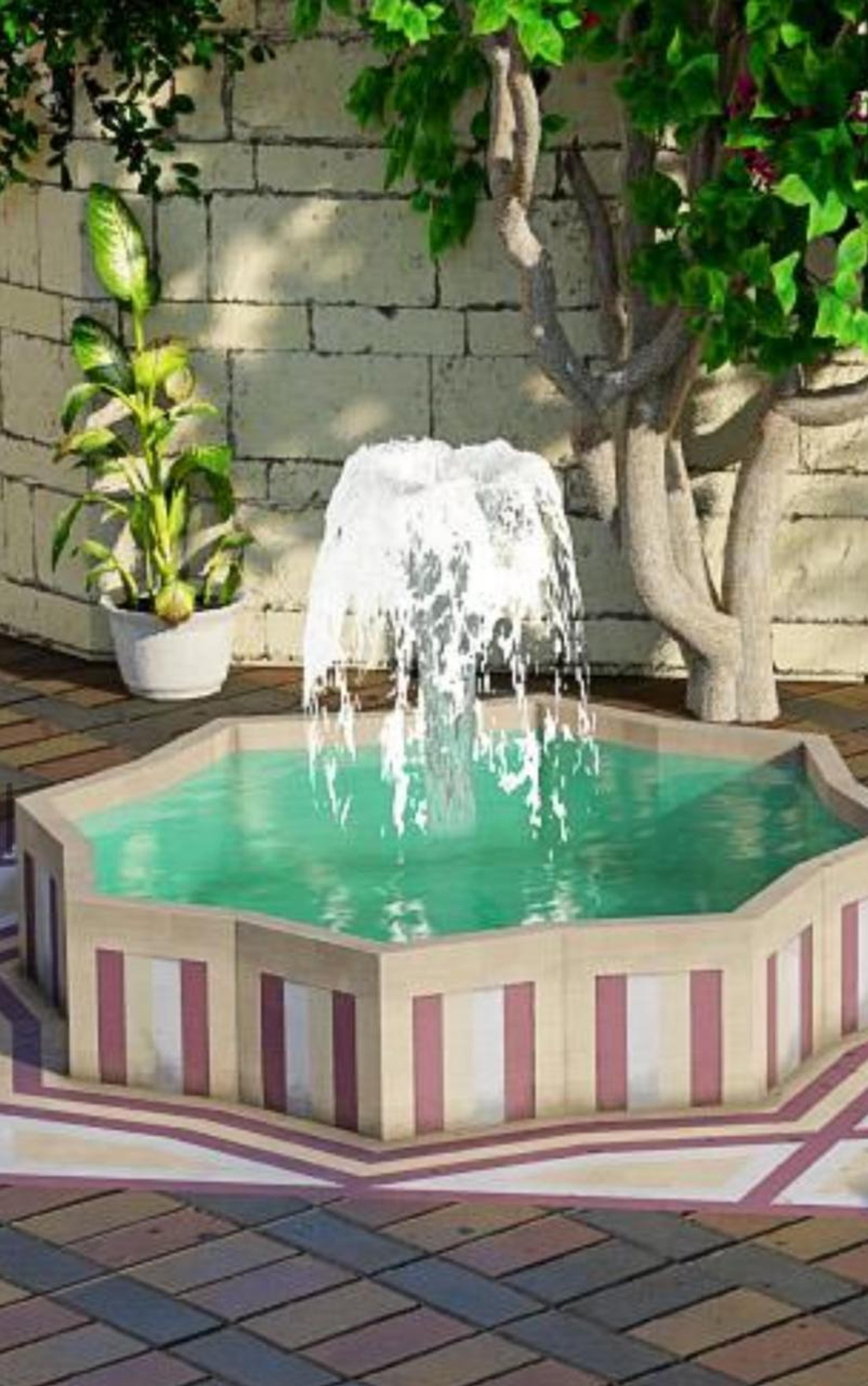 ابو عبدالرحمن المصري
