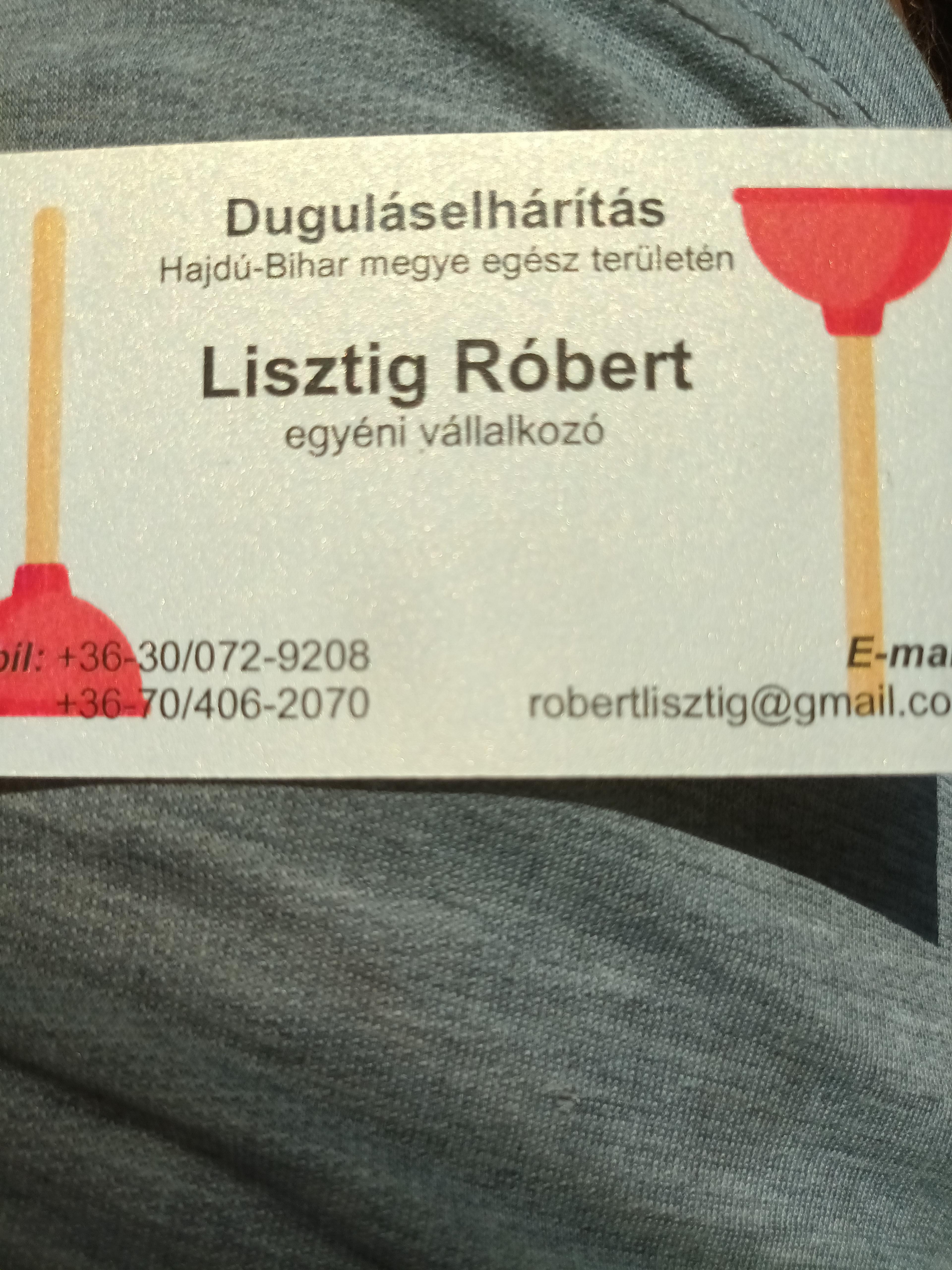 Lisztig Robert