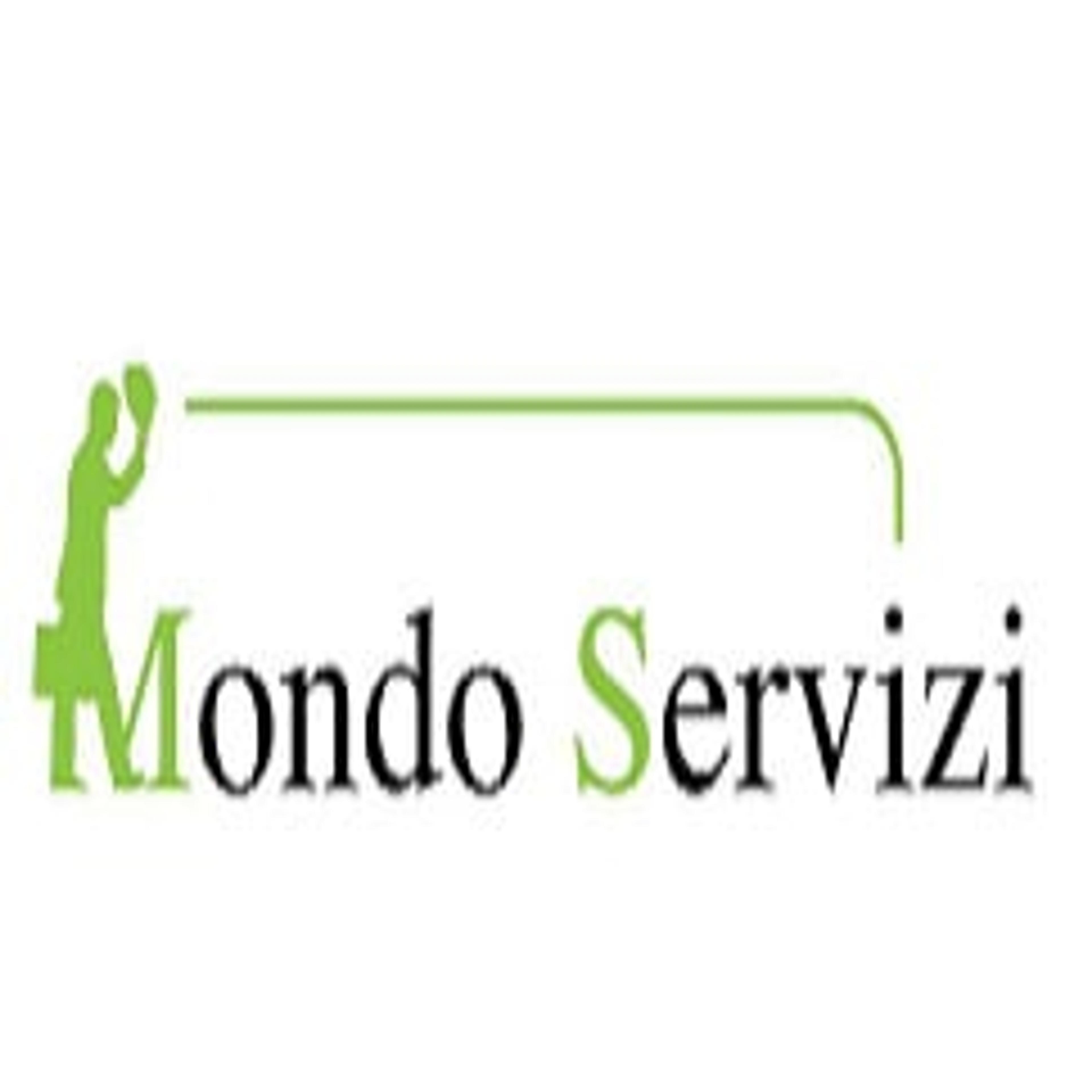 Mondo Servizi di Arezzi Salvatore