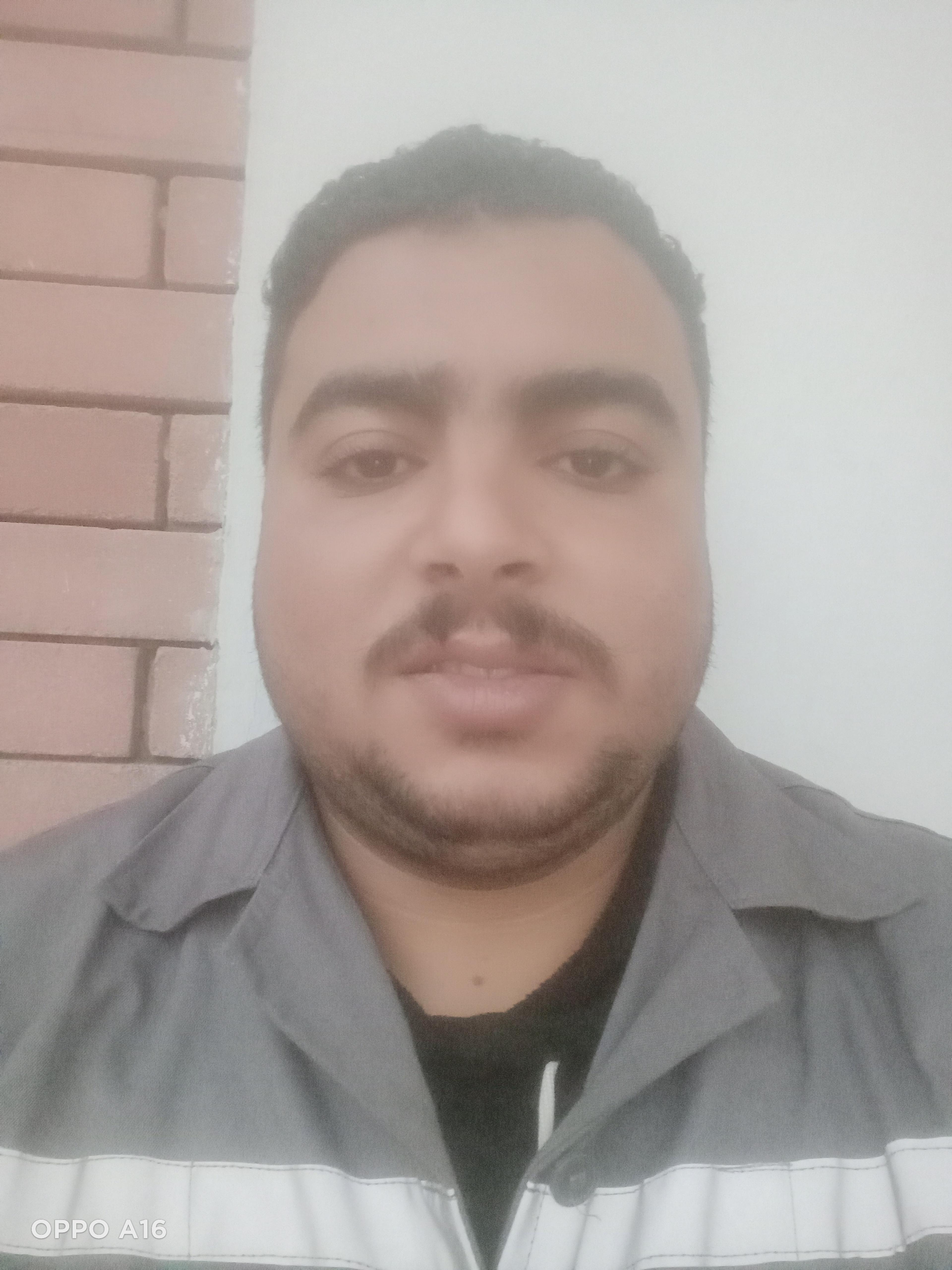 مجدى