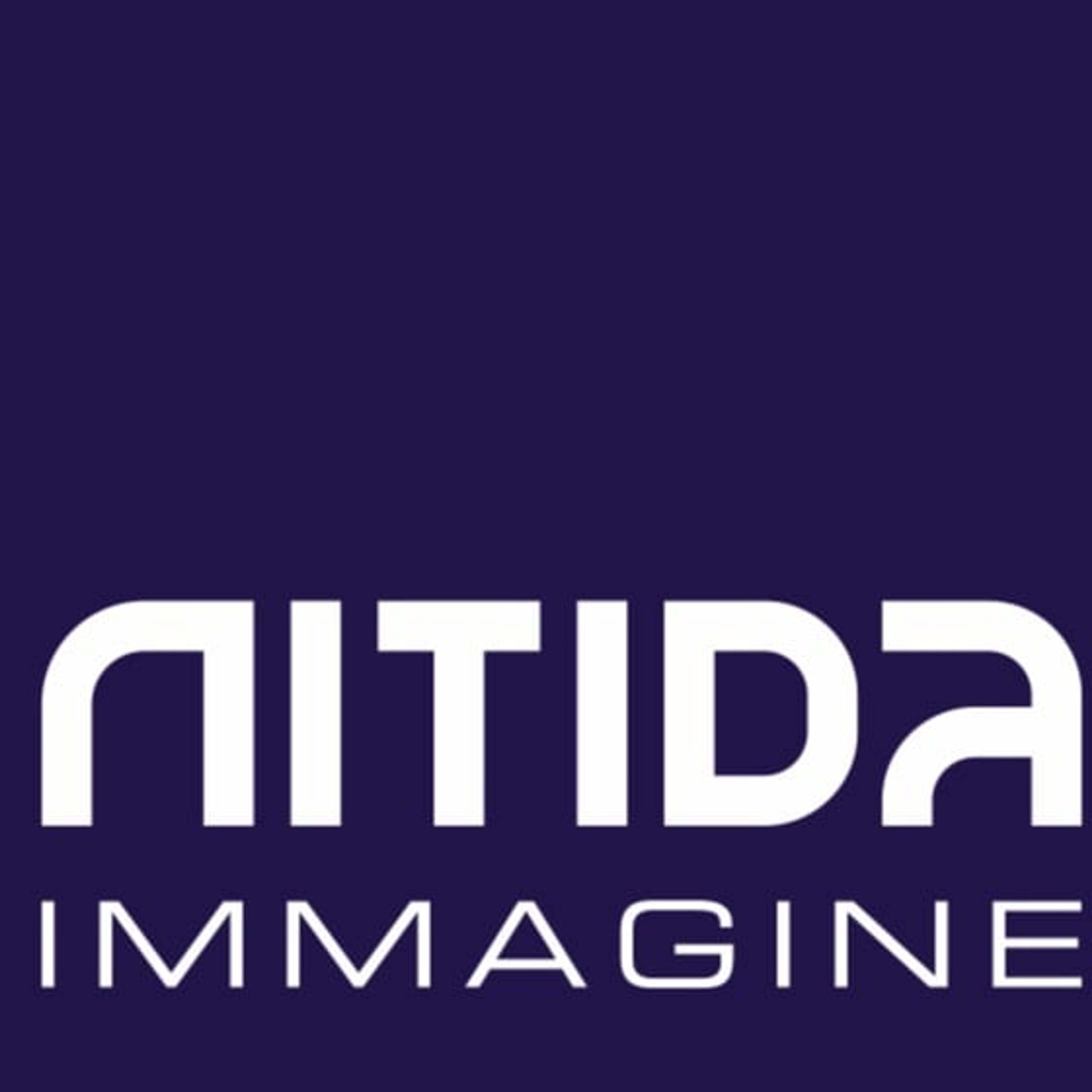 AGENZIA NITIDA IMMAGINE