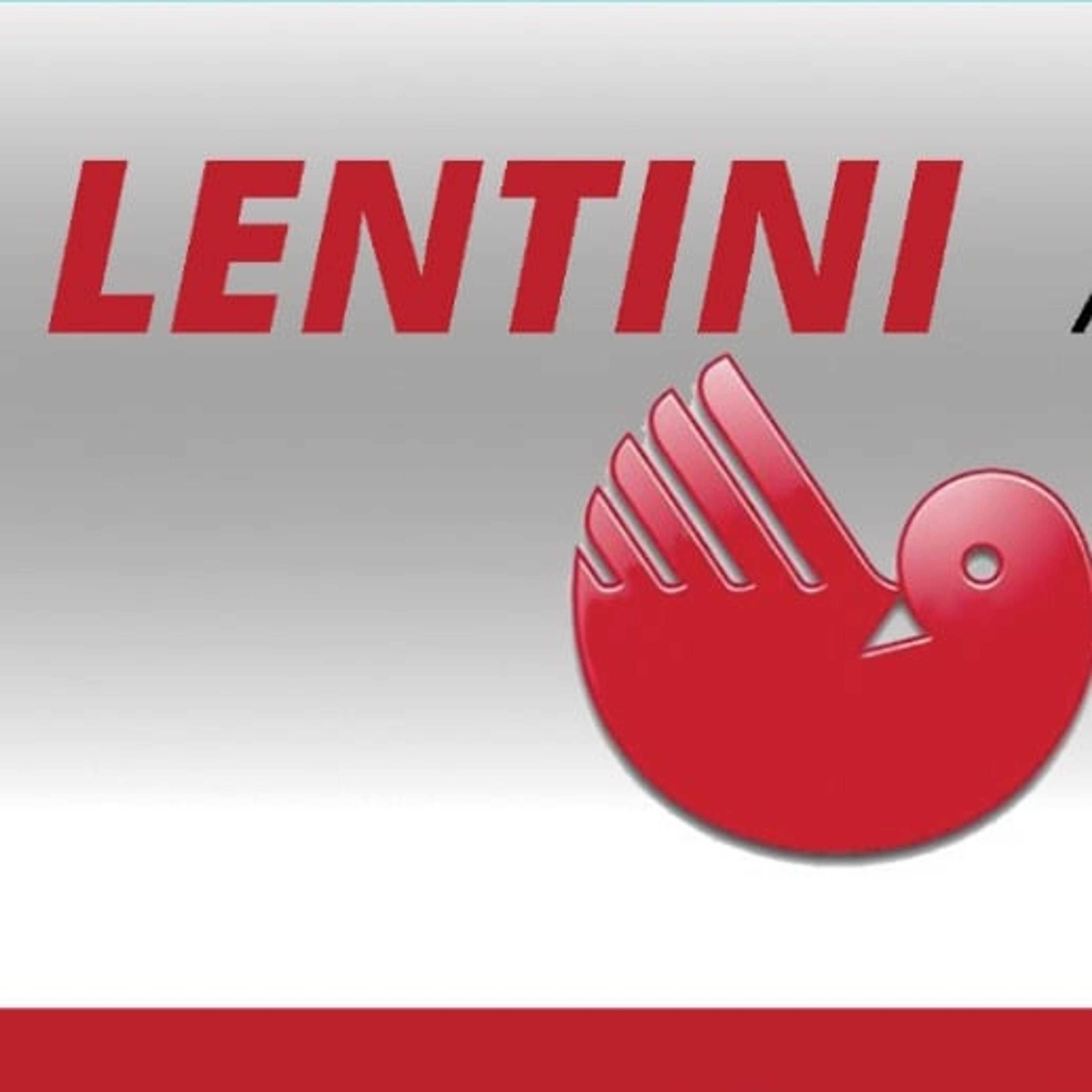 Assistenza Tecnica Lentini Snc di Lentini Emanuele & C.