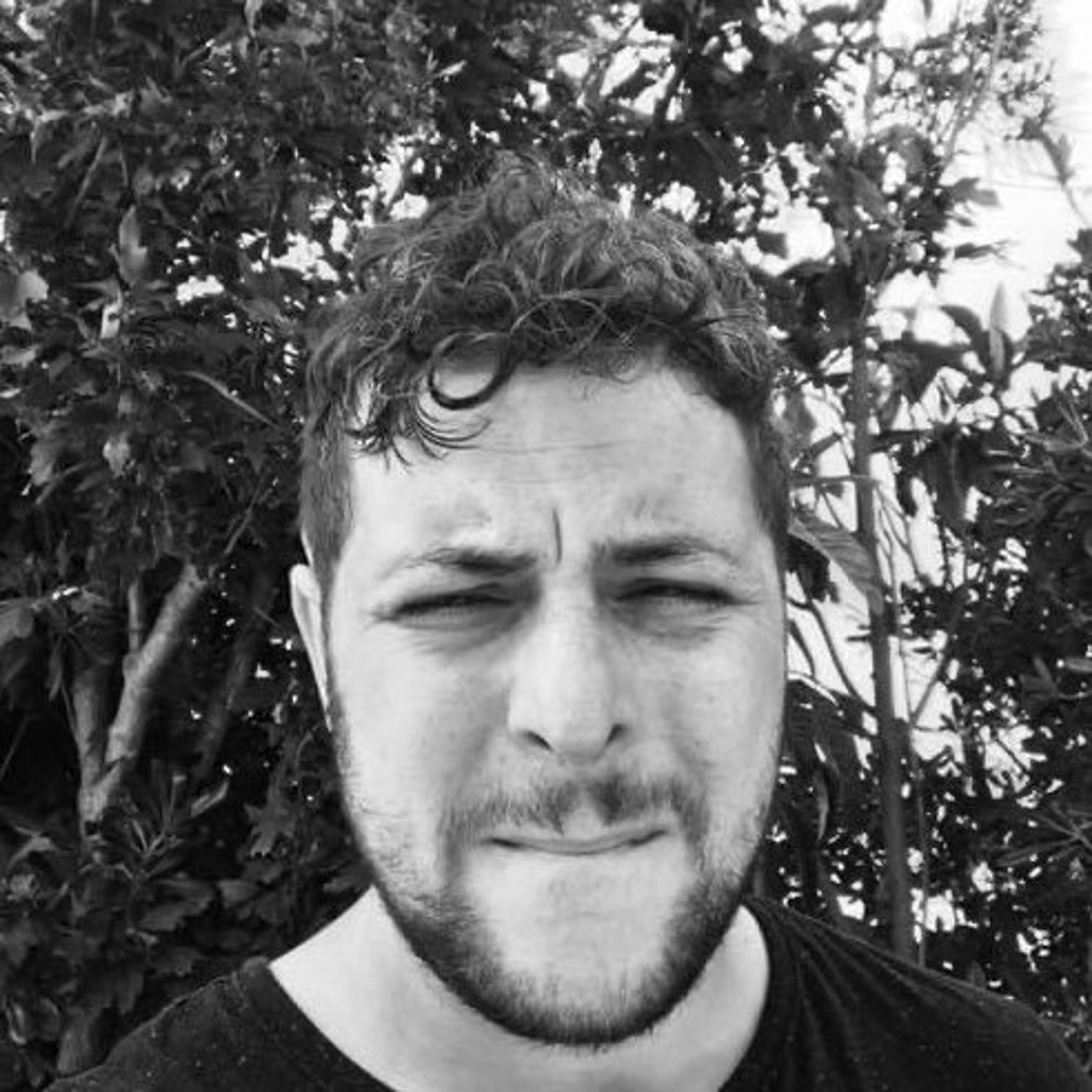 Valerio Mollo