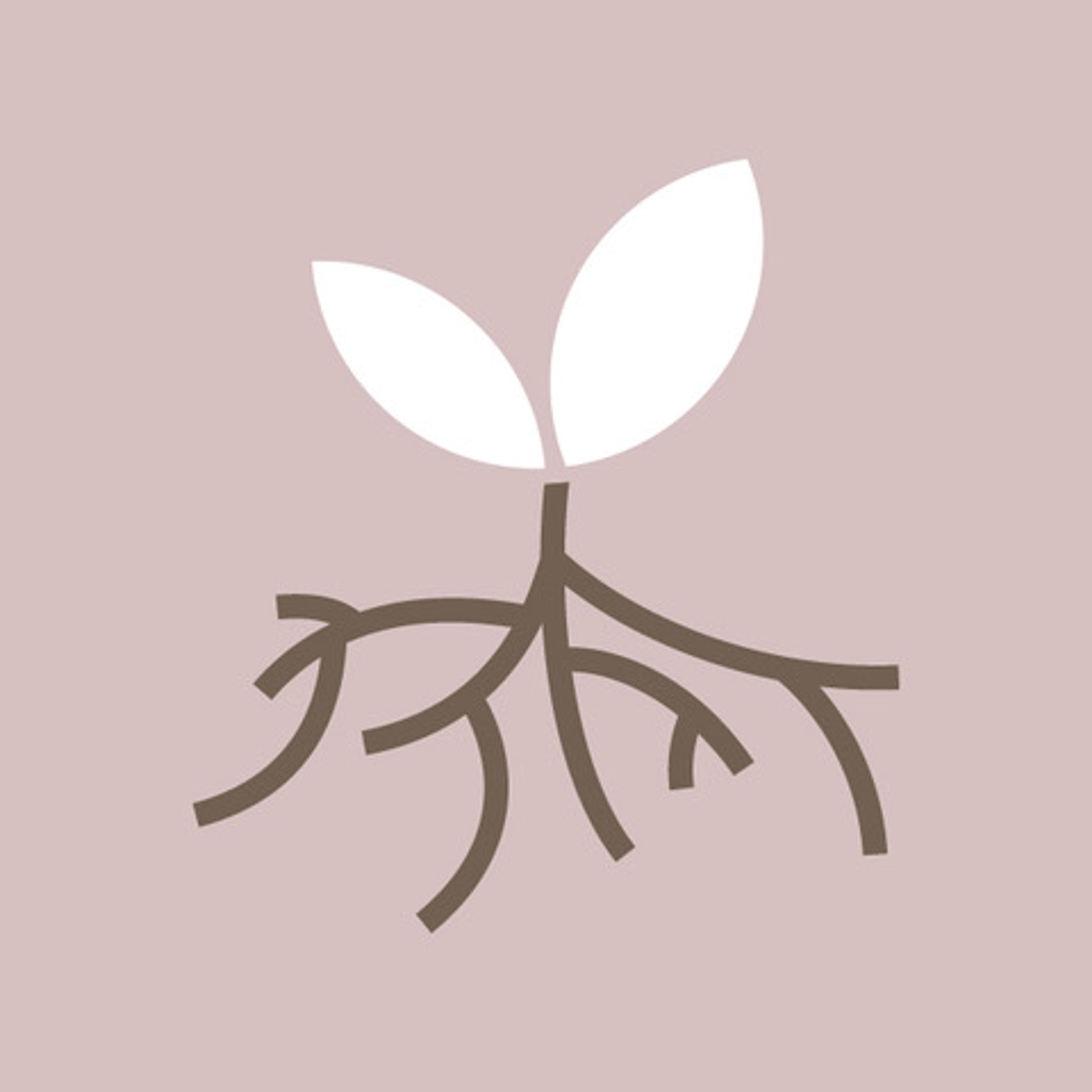 LaRadice WellnessCoaching