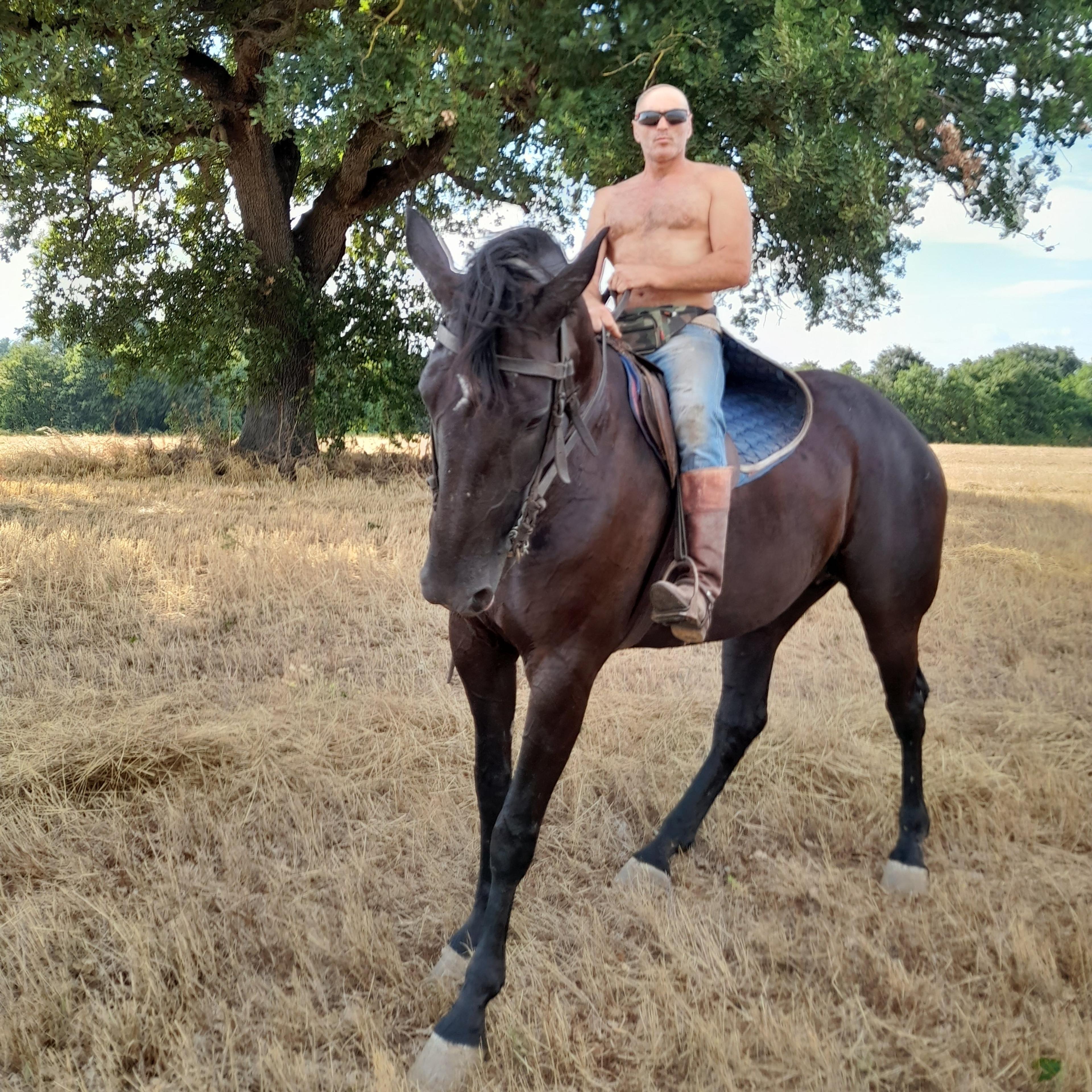 Dan Paul Sarluceanu