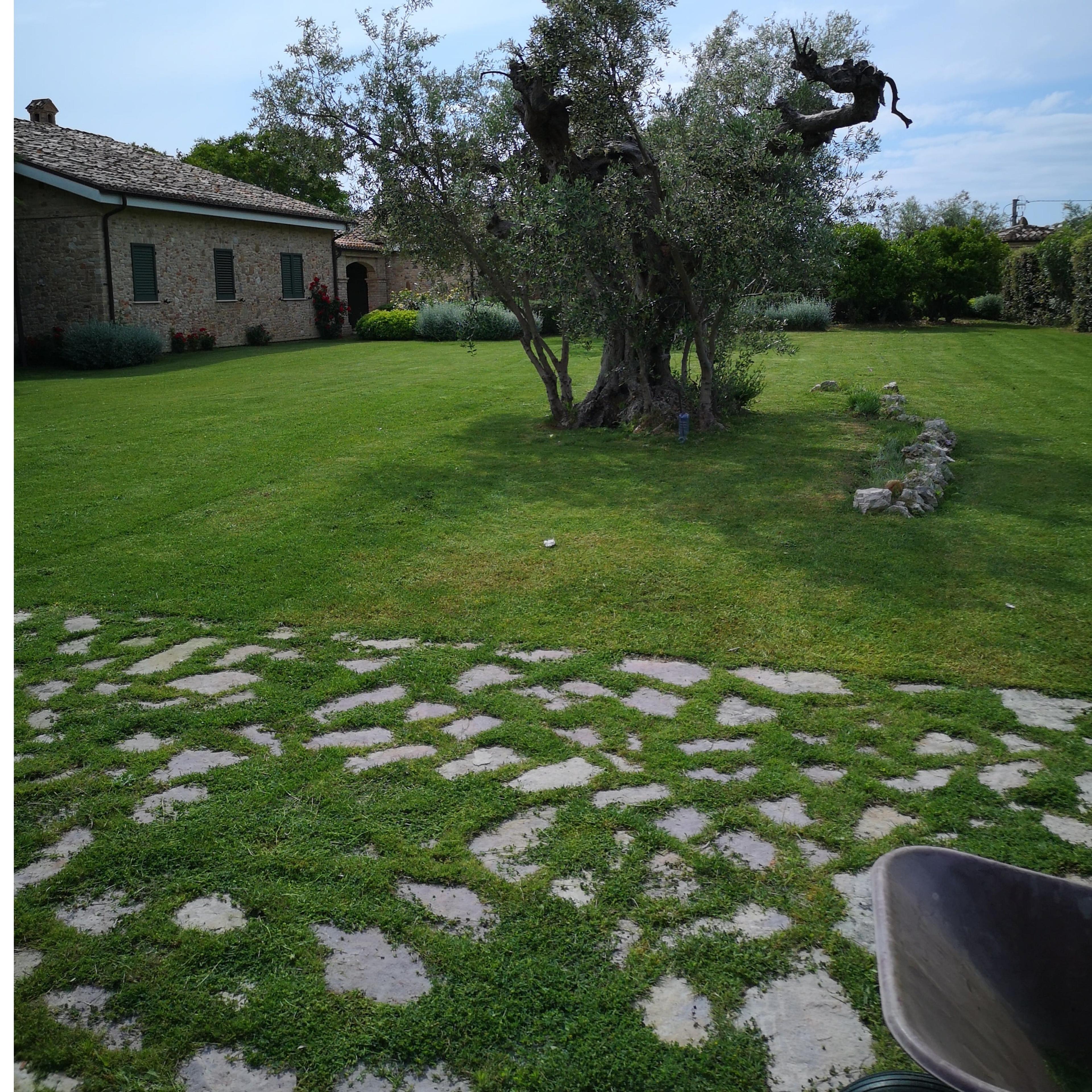 La cura del paesaggio