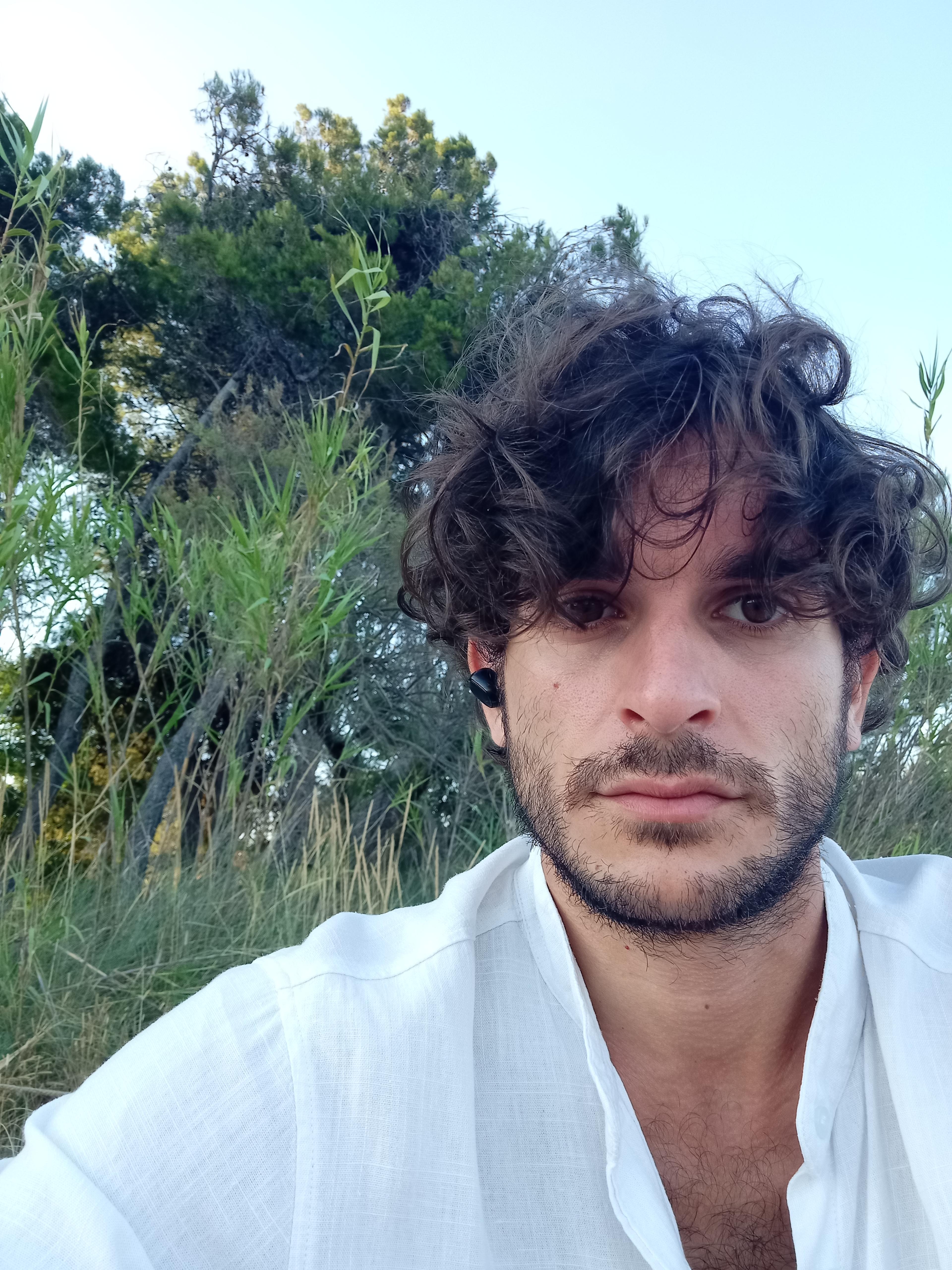 Niccolò Amelii